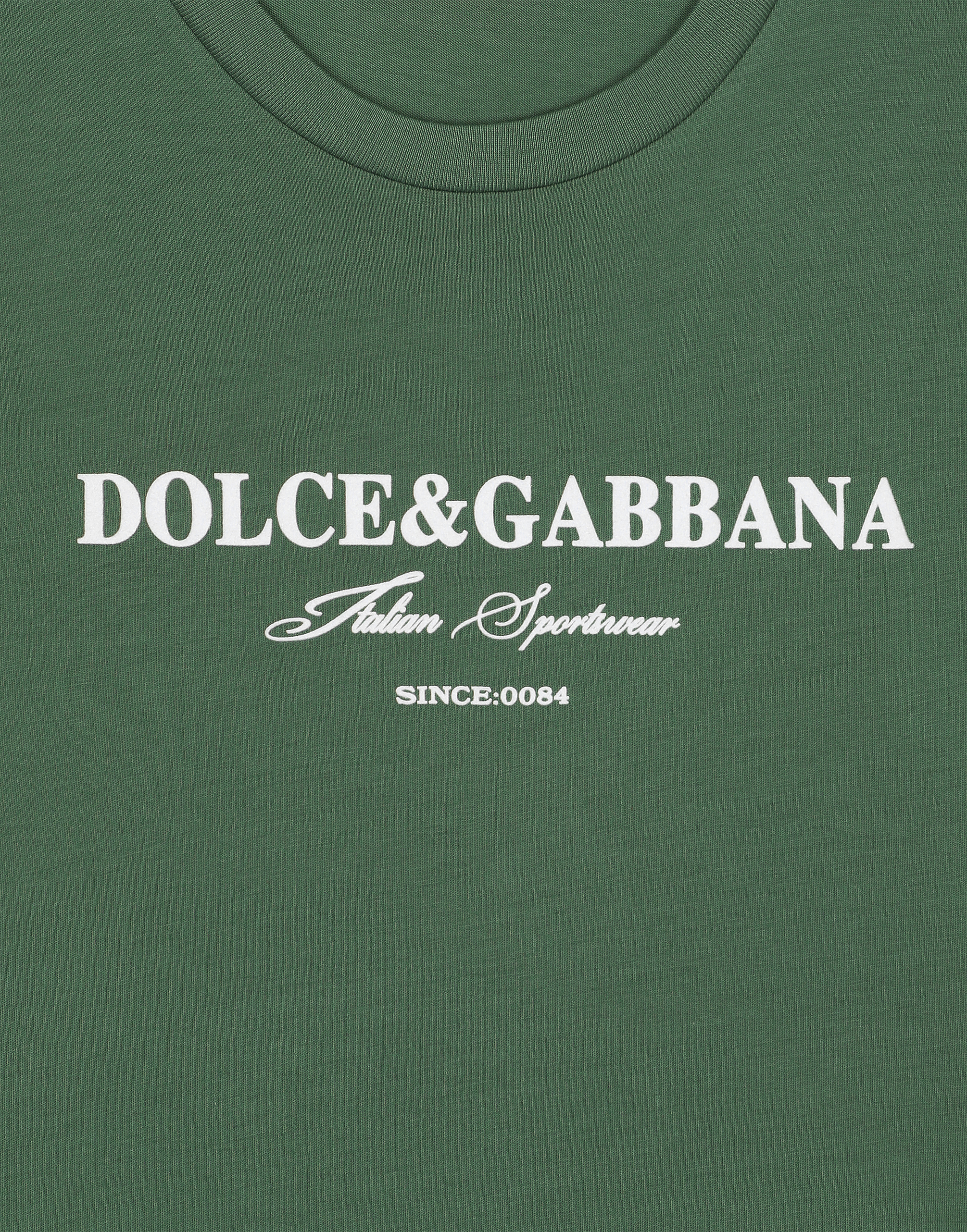 Dolce & Gabbana Cotton T-shirt With Logo Print In Multicolor