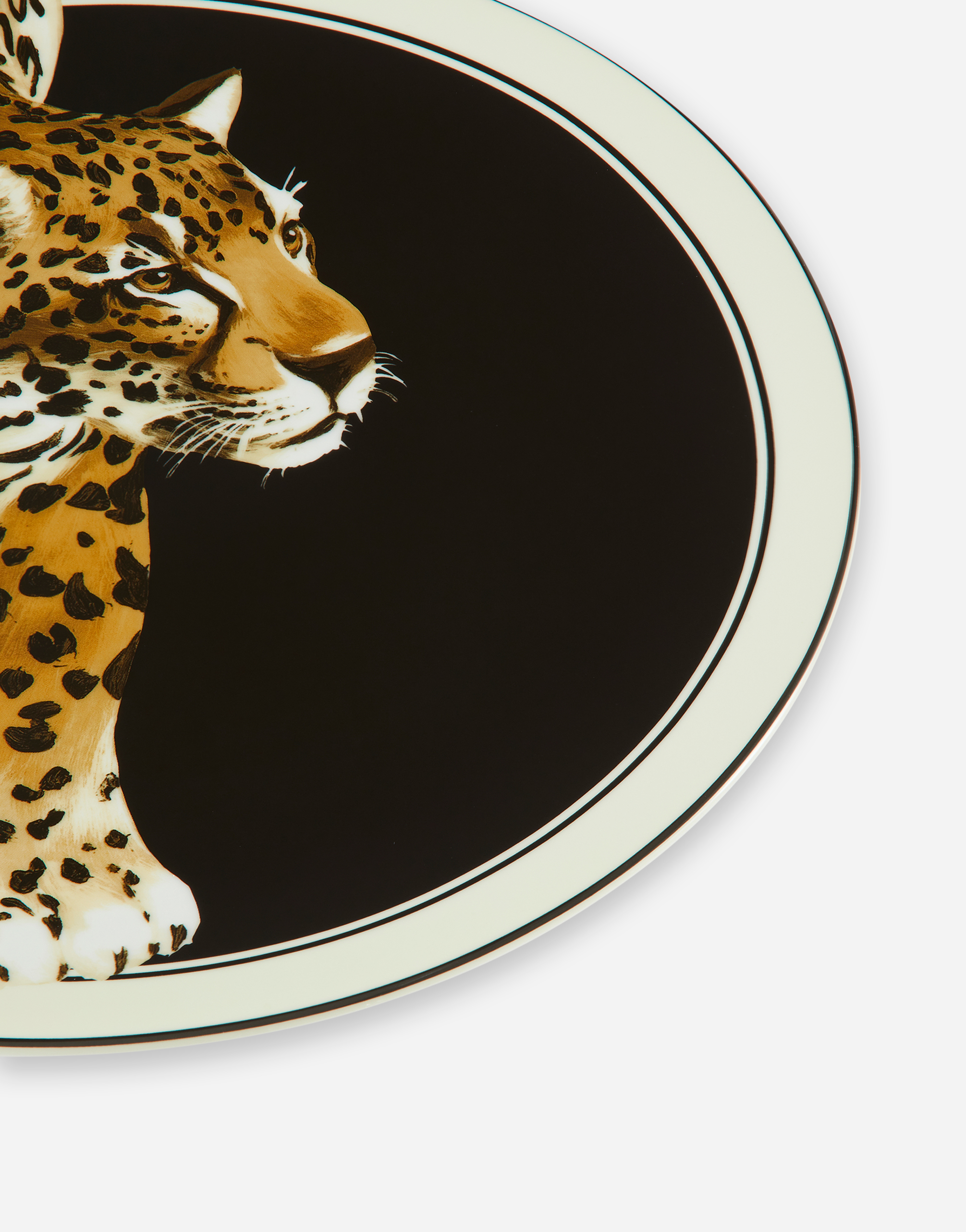 Dolce & Gabbana Porcelain Charger Plate In Multicolor