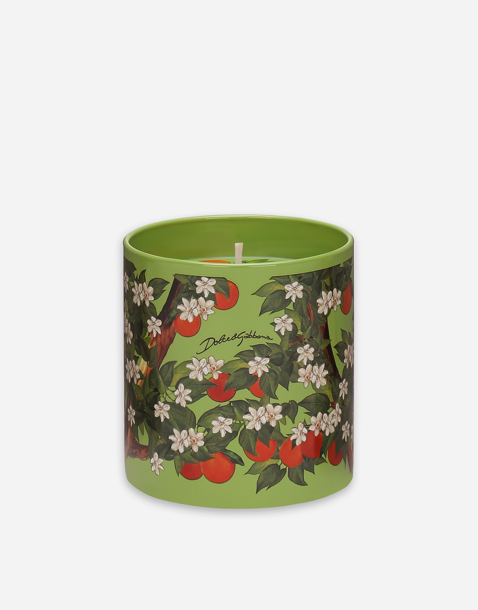 DOLCE & GABBANA アロマキャンドル マルチカラー アロマキャンドル ムスクローズ | Dolce&Gabbana®