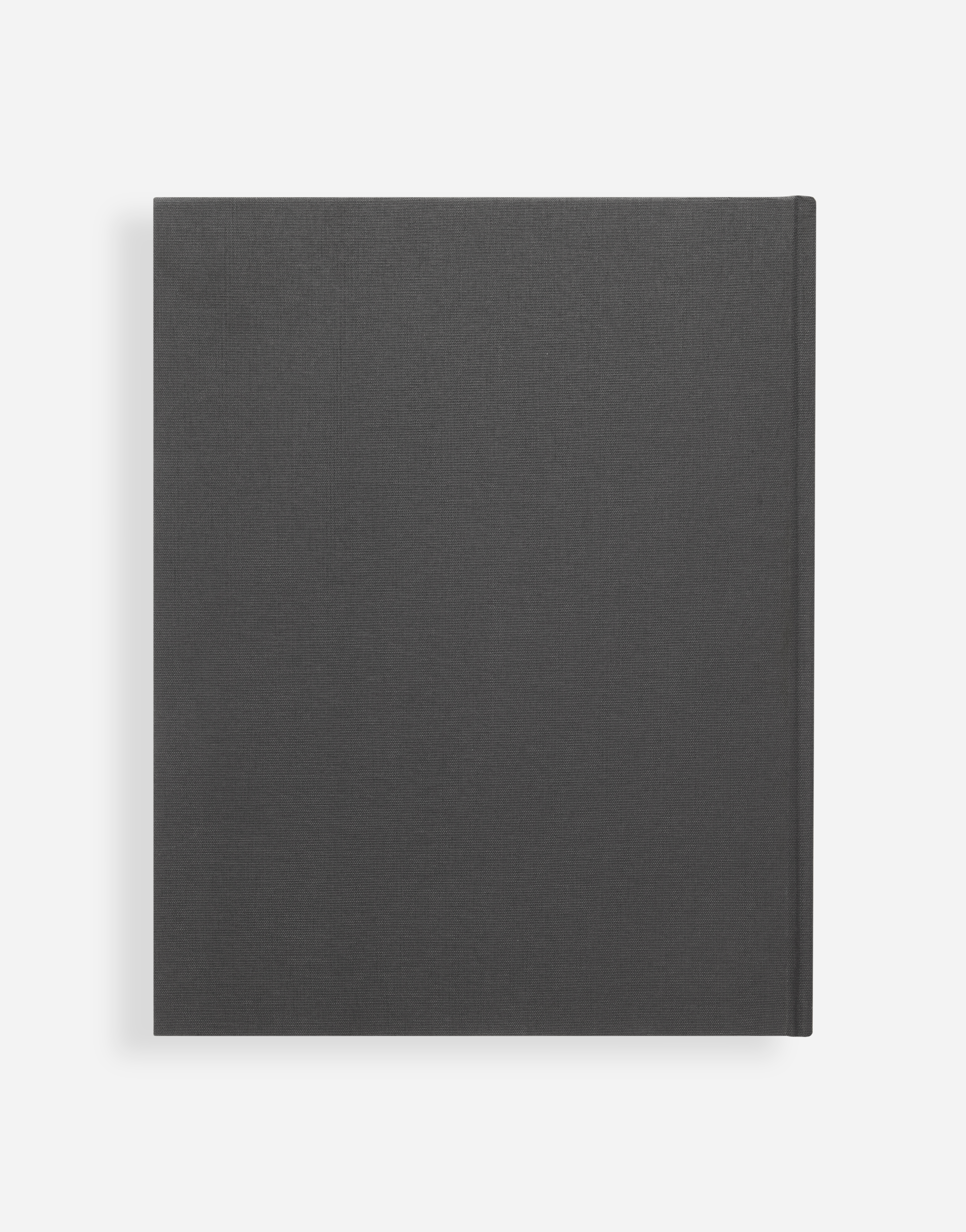 DOLCE&GABBANA CAMPIONI - English Edition