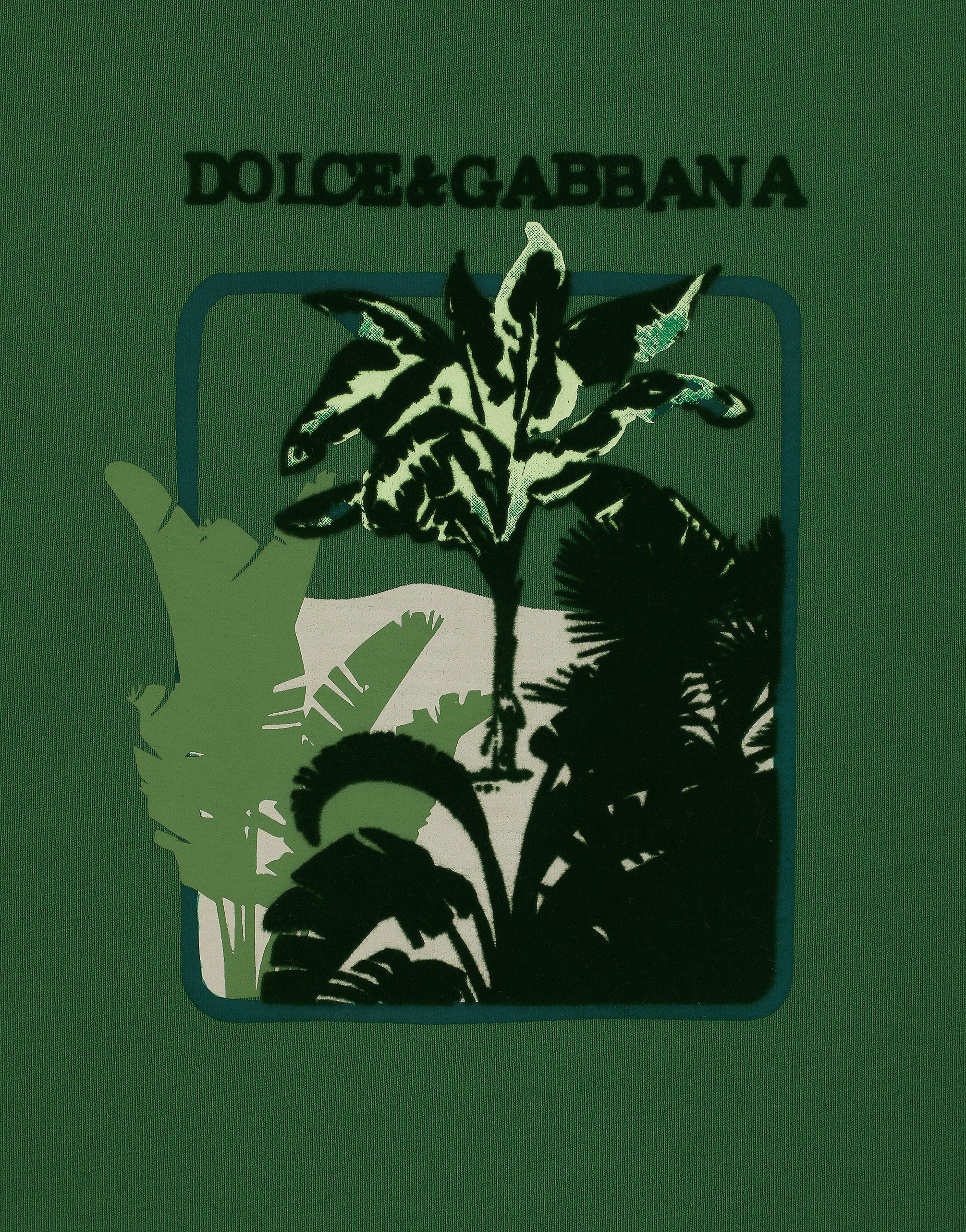 Shop Dolce & Gabbana Short-sleeved Cotton T-shirt With Banana Tree Print In Green