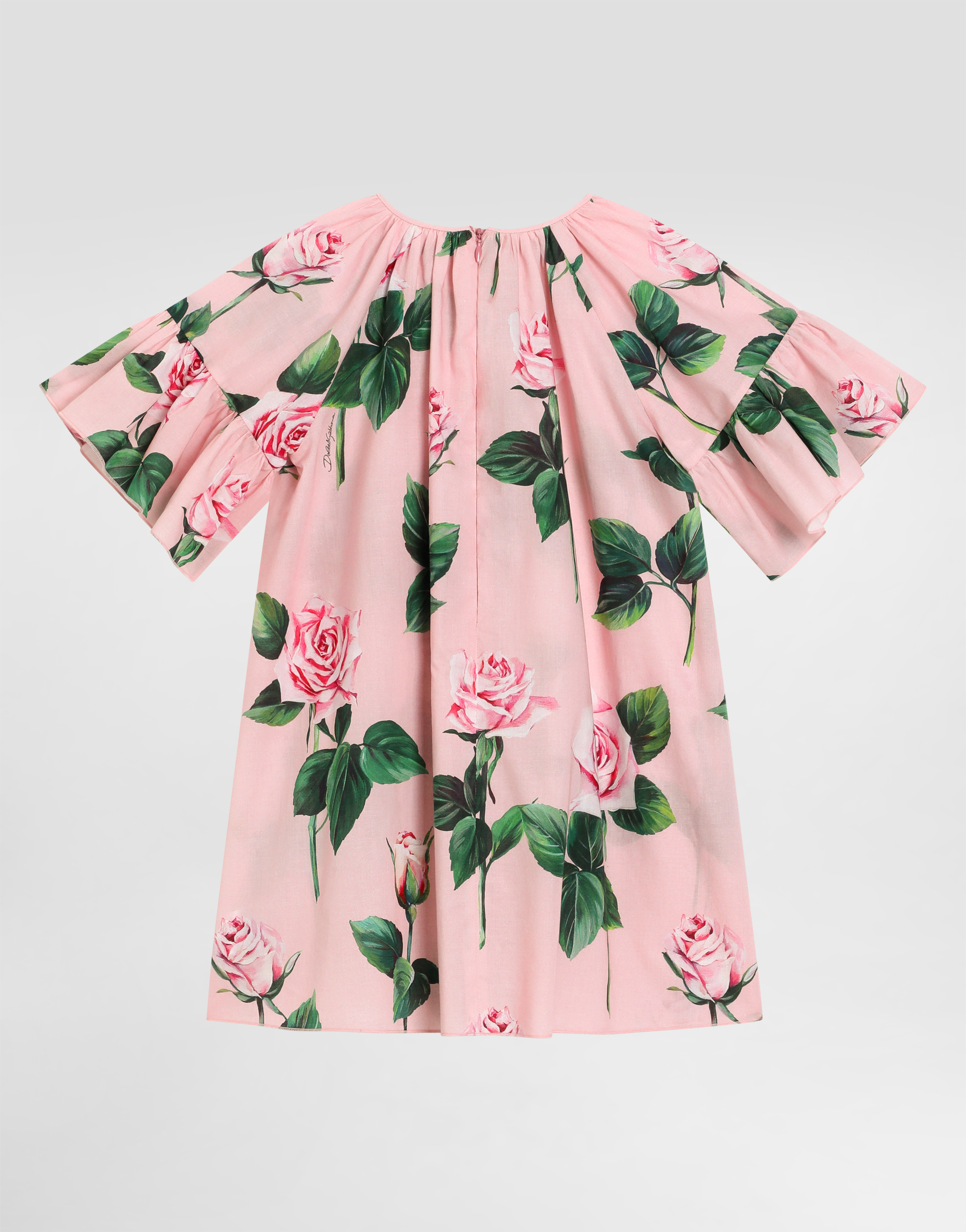 Dolce & Gabbana Rose-print Poplin Dress In Print