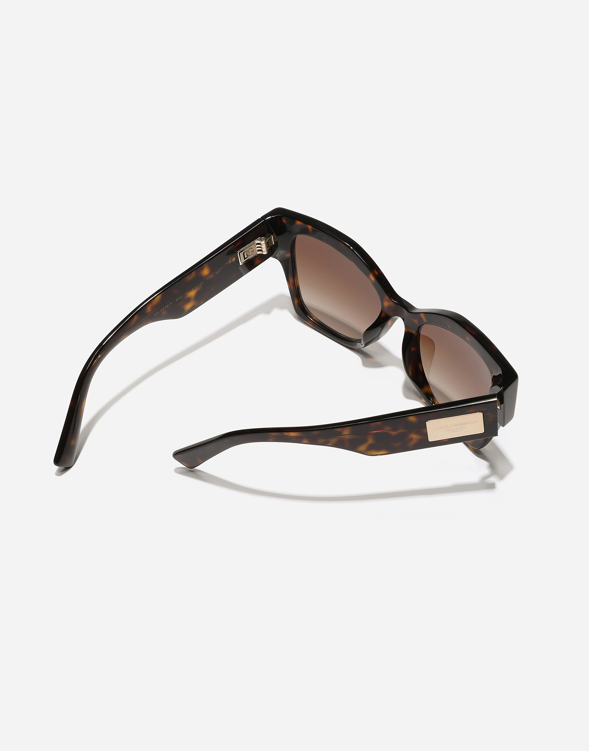 Dolce & Gabbana Dg Logo Plaque Sunglasses In Havana