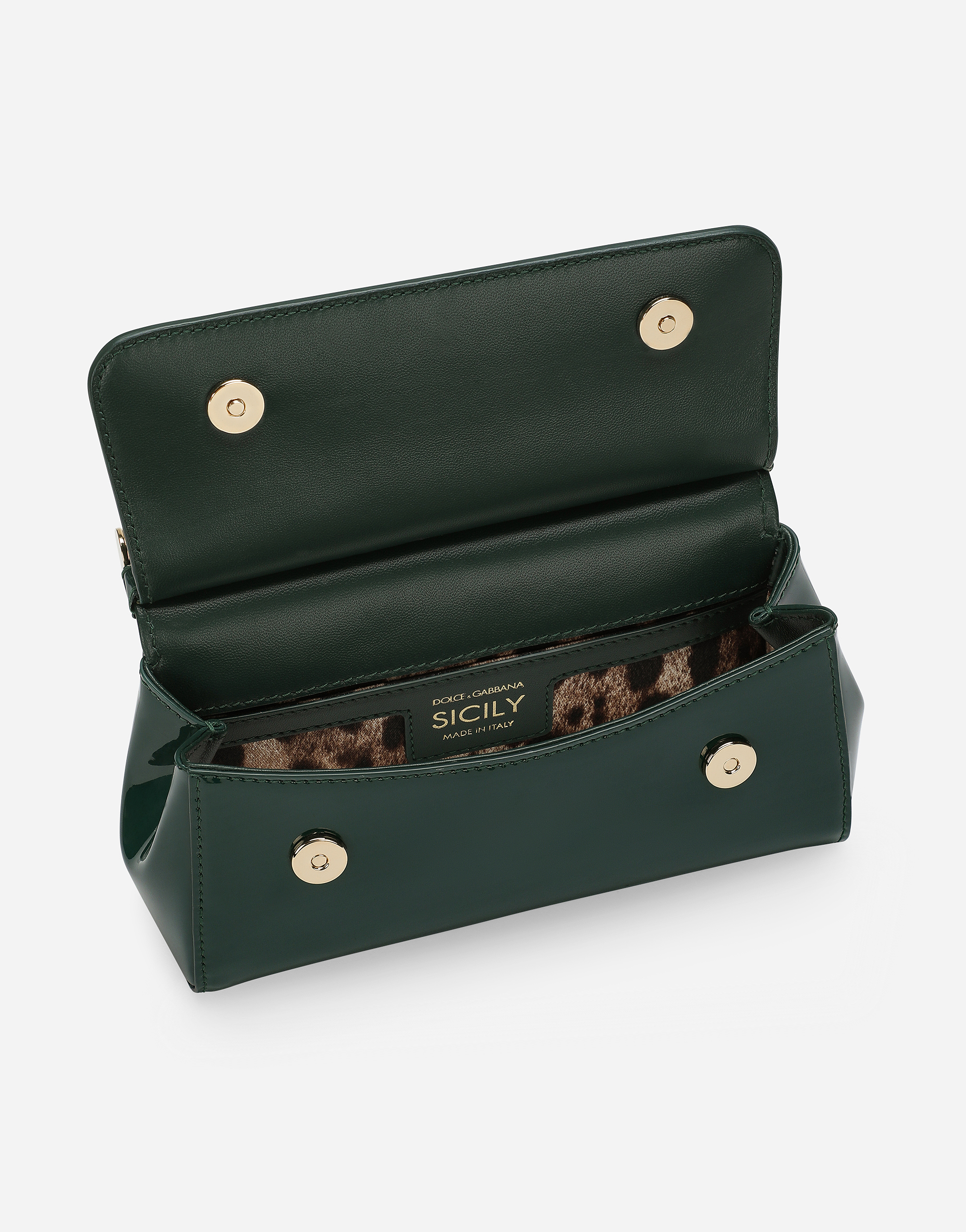 Dolce & Gabbana Borsa A Mano In Green