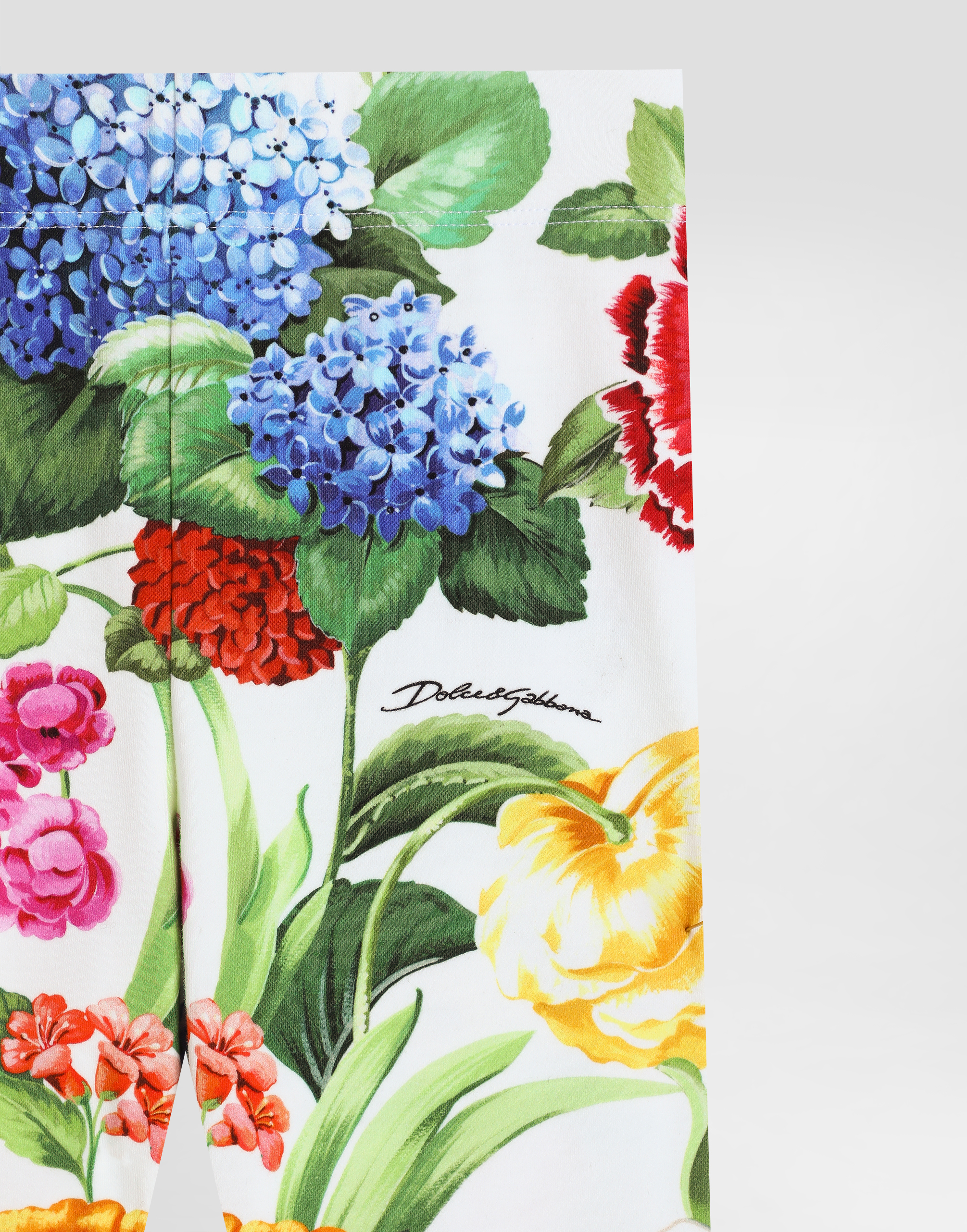 Dolce & Gabbana Interlock Pants With Floral Print In Print