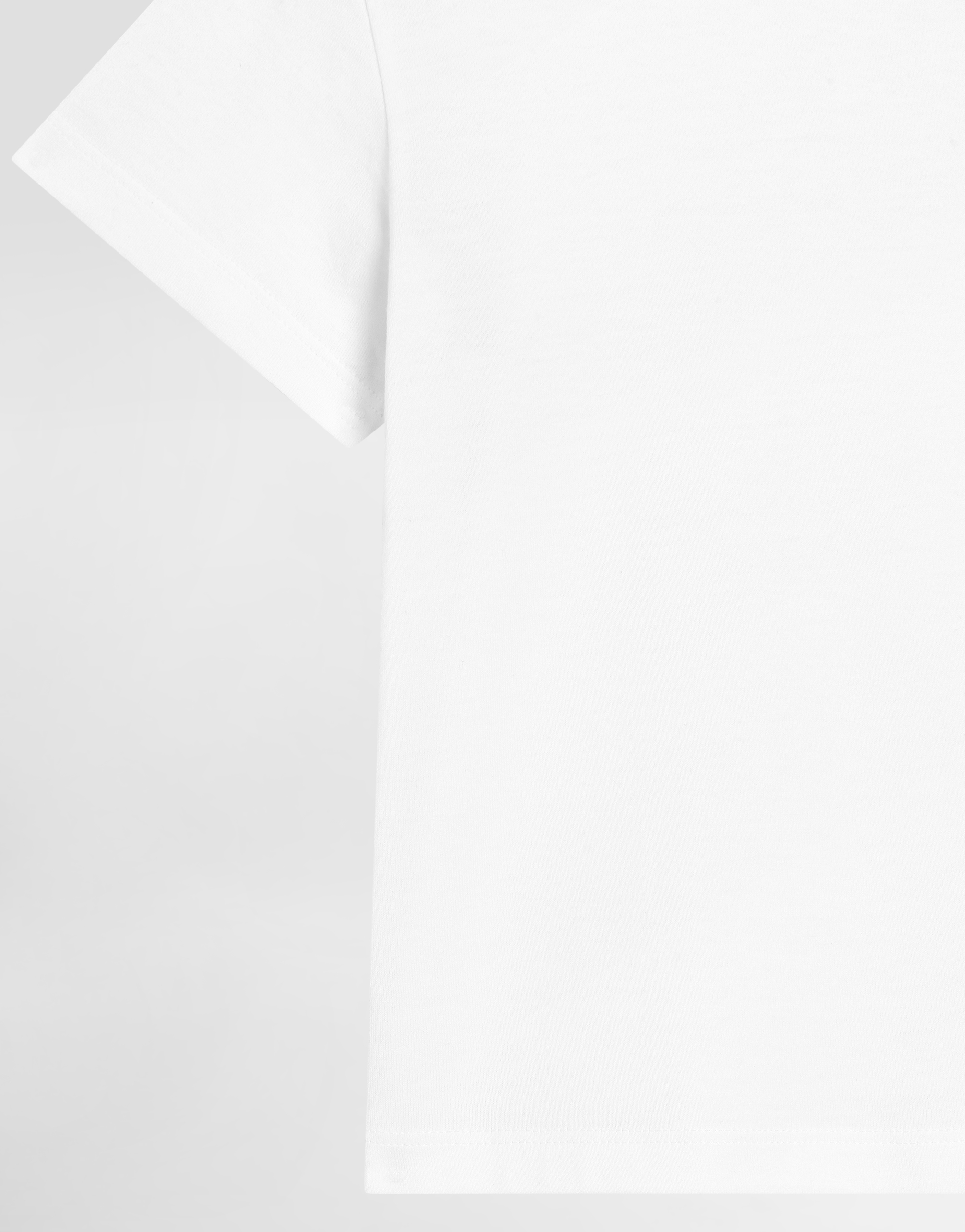 Dolce & Gabbana Jersey T-shirt With Logo Plate In White