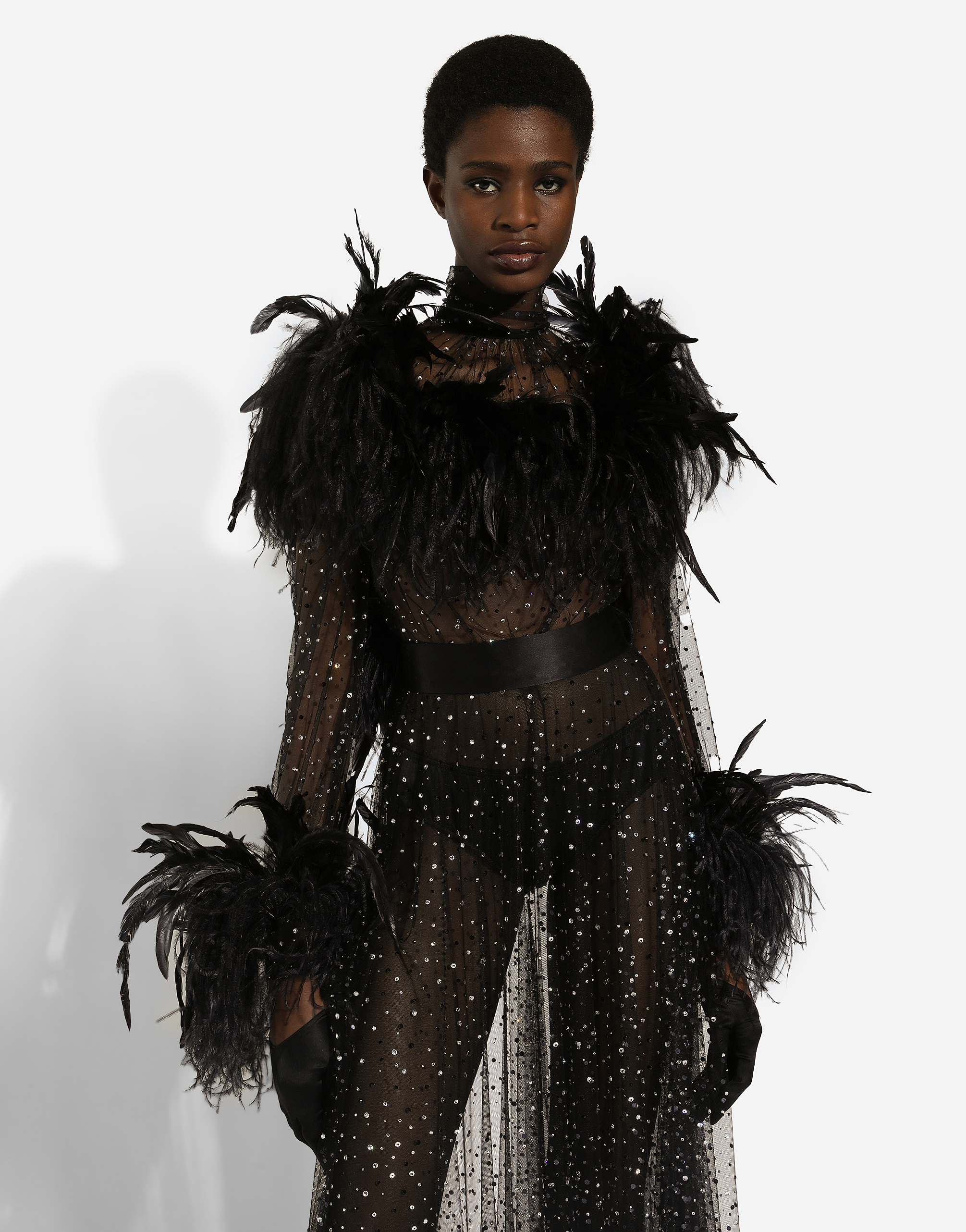Dolce & Gabbana Feather-trim Rhinestone Dress In Silver