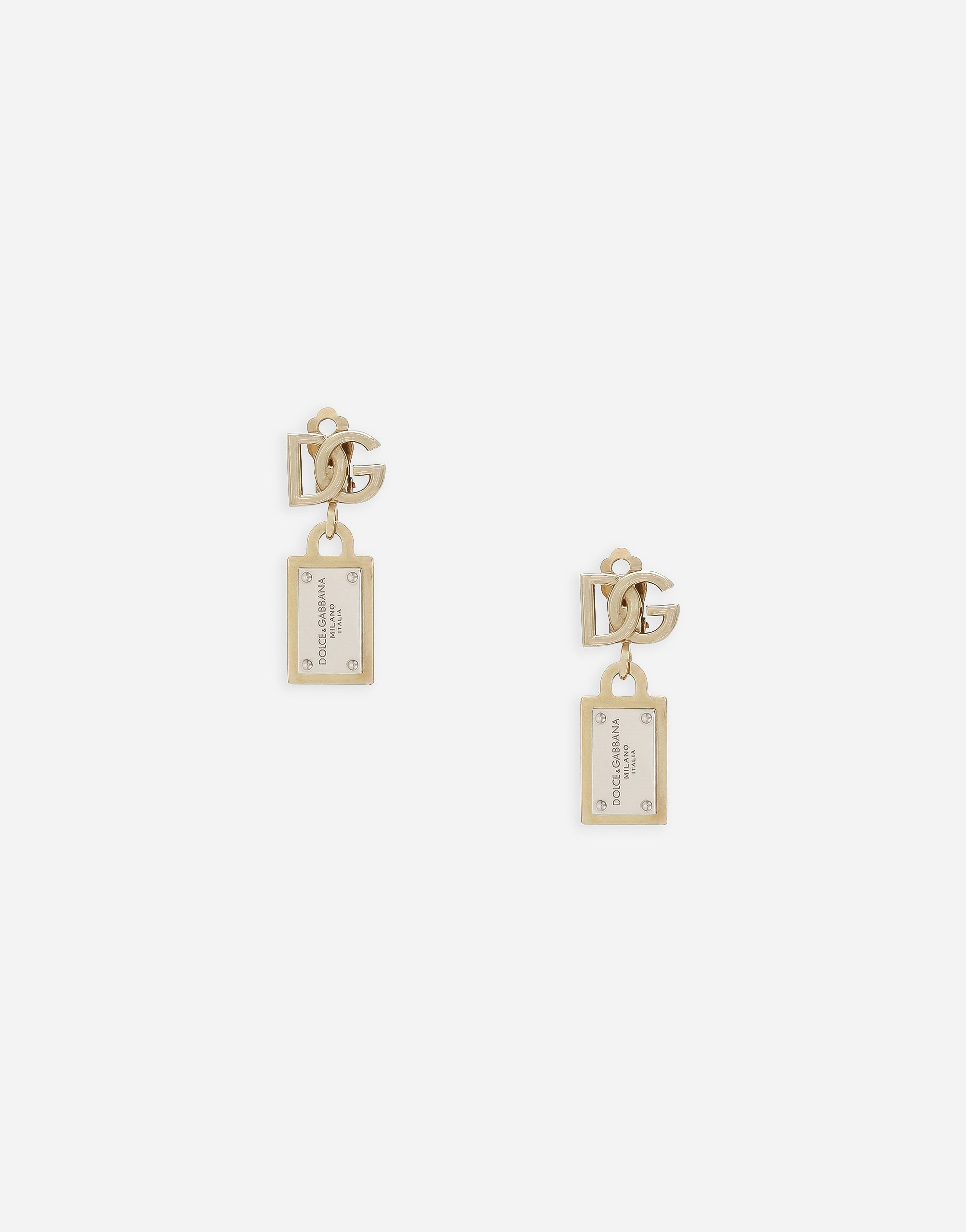 Dolce & Gabbana Earrings With Dg Logo And Tag In Multicolor
