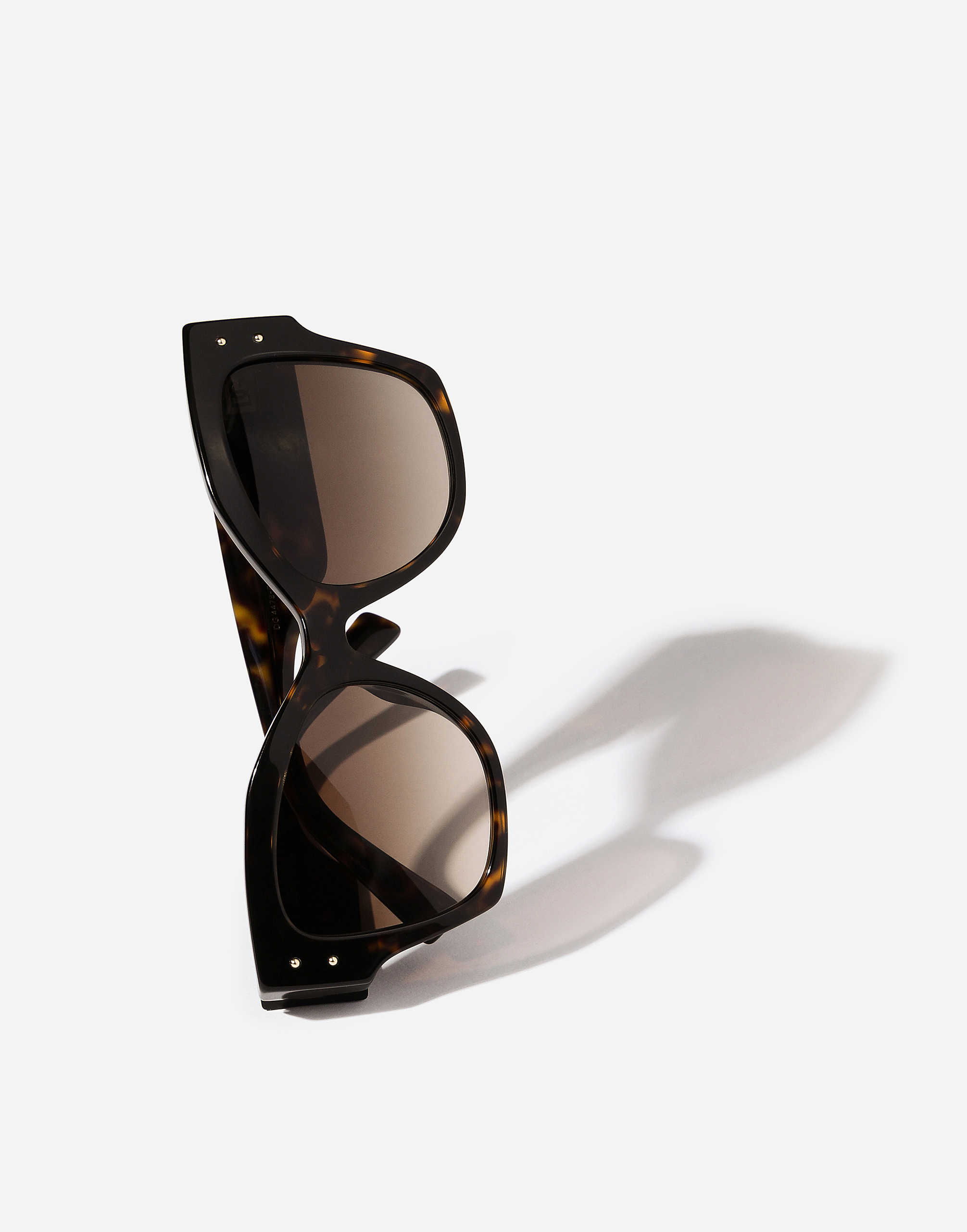 Dolce & Gabbana Dg Logo Plaque Sunglasses In Havana