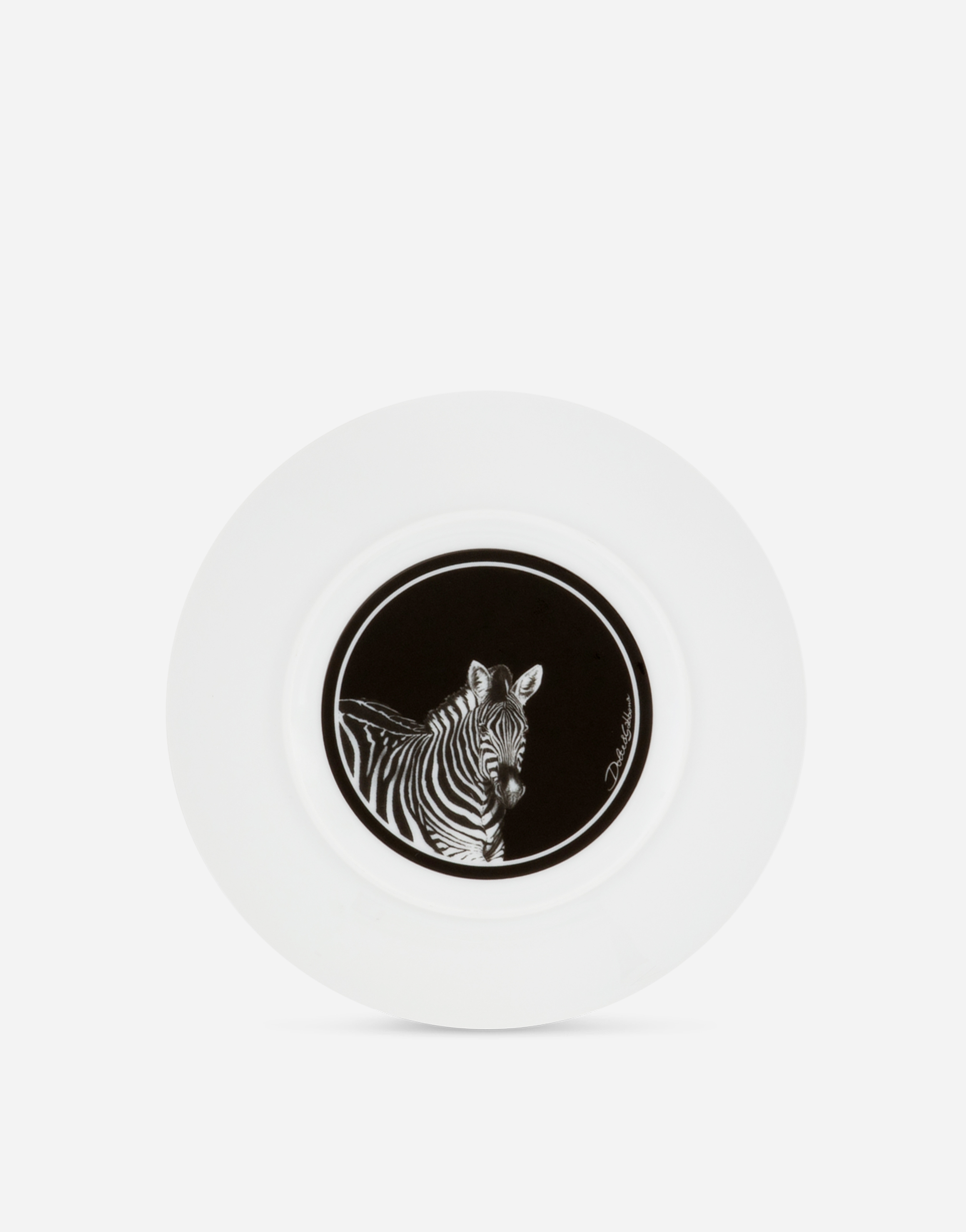 Set 2 Porcelain Dinner Plates