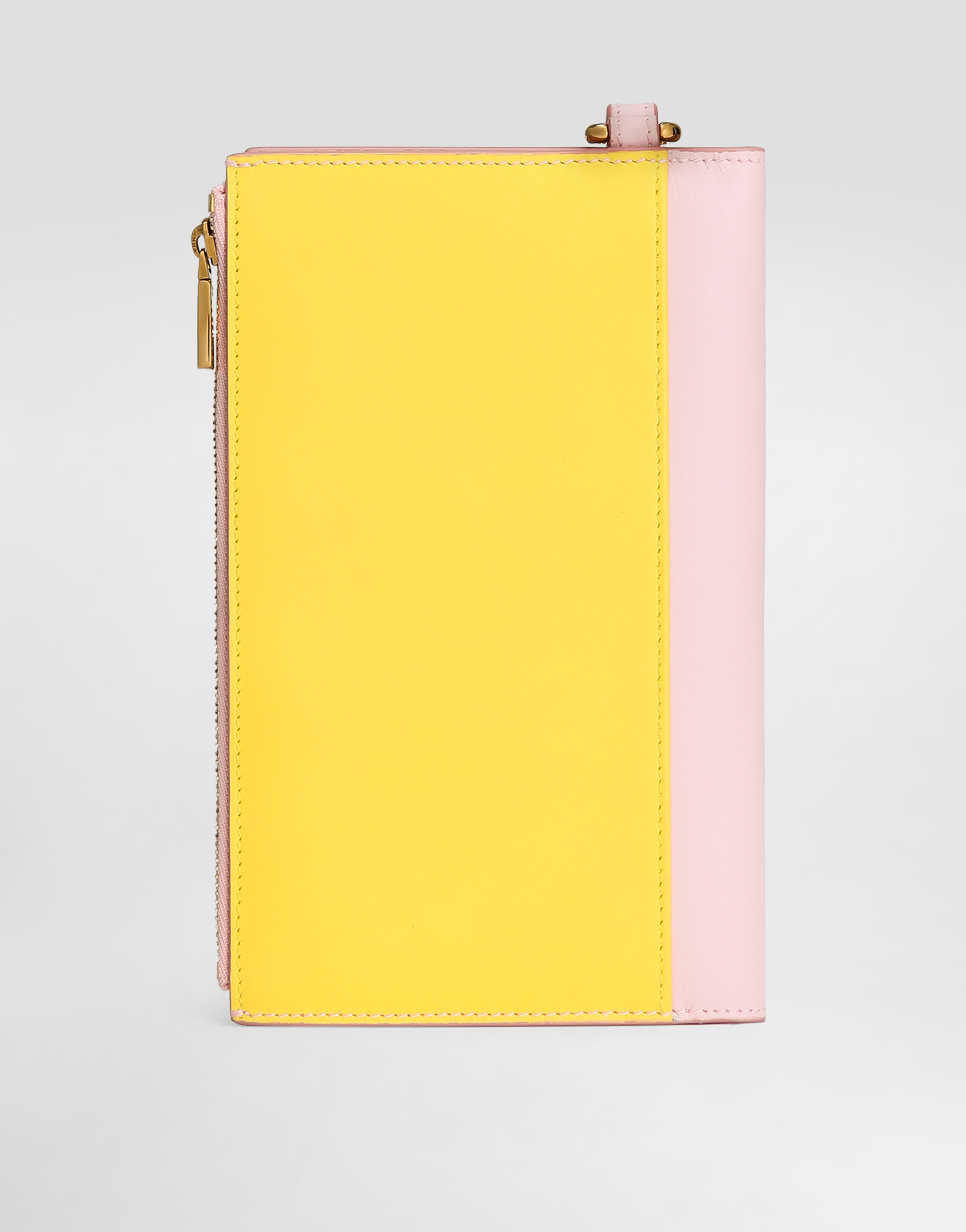 Dolce & Gabbana Calfskin Passport Holder With Dg Logo In Multicolor