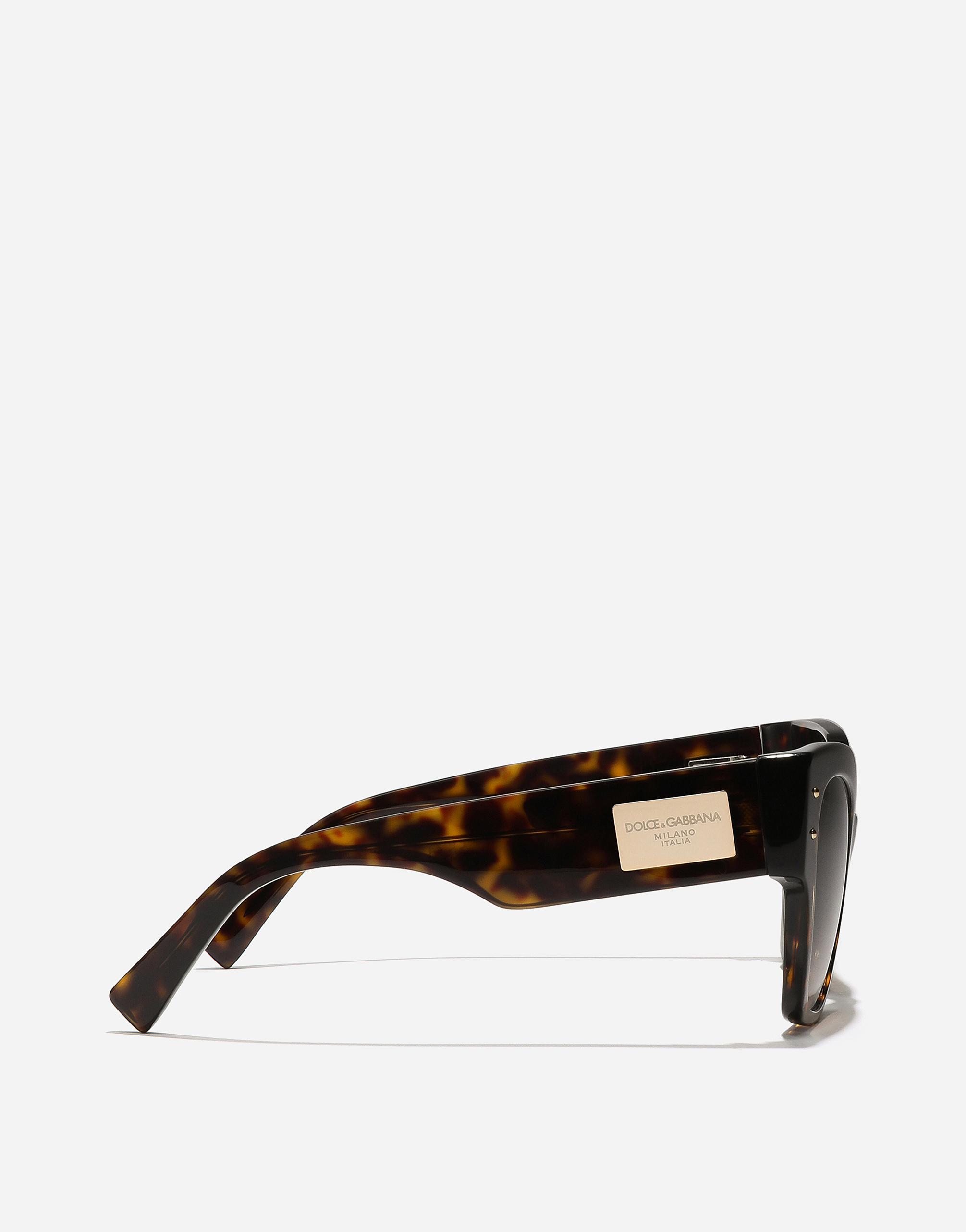 Dolce & Gabbana Dg Logo Plaque Sunglasses In Havana