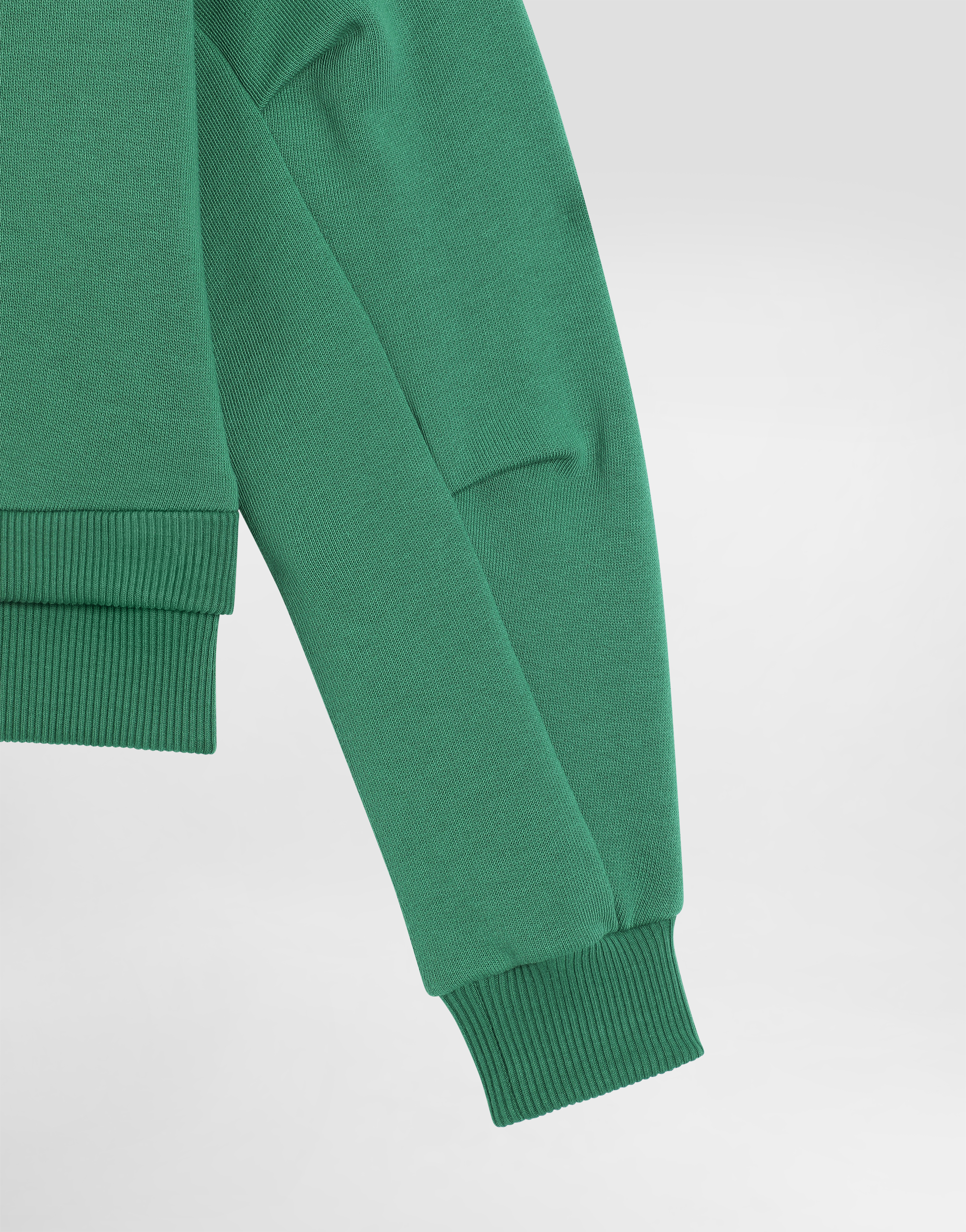 Dolce & Gabbana Round-neck Sweatshirt With Flower And Dg Logo In Green