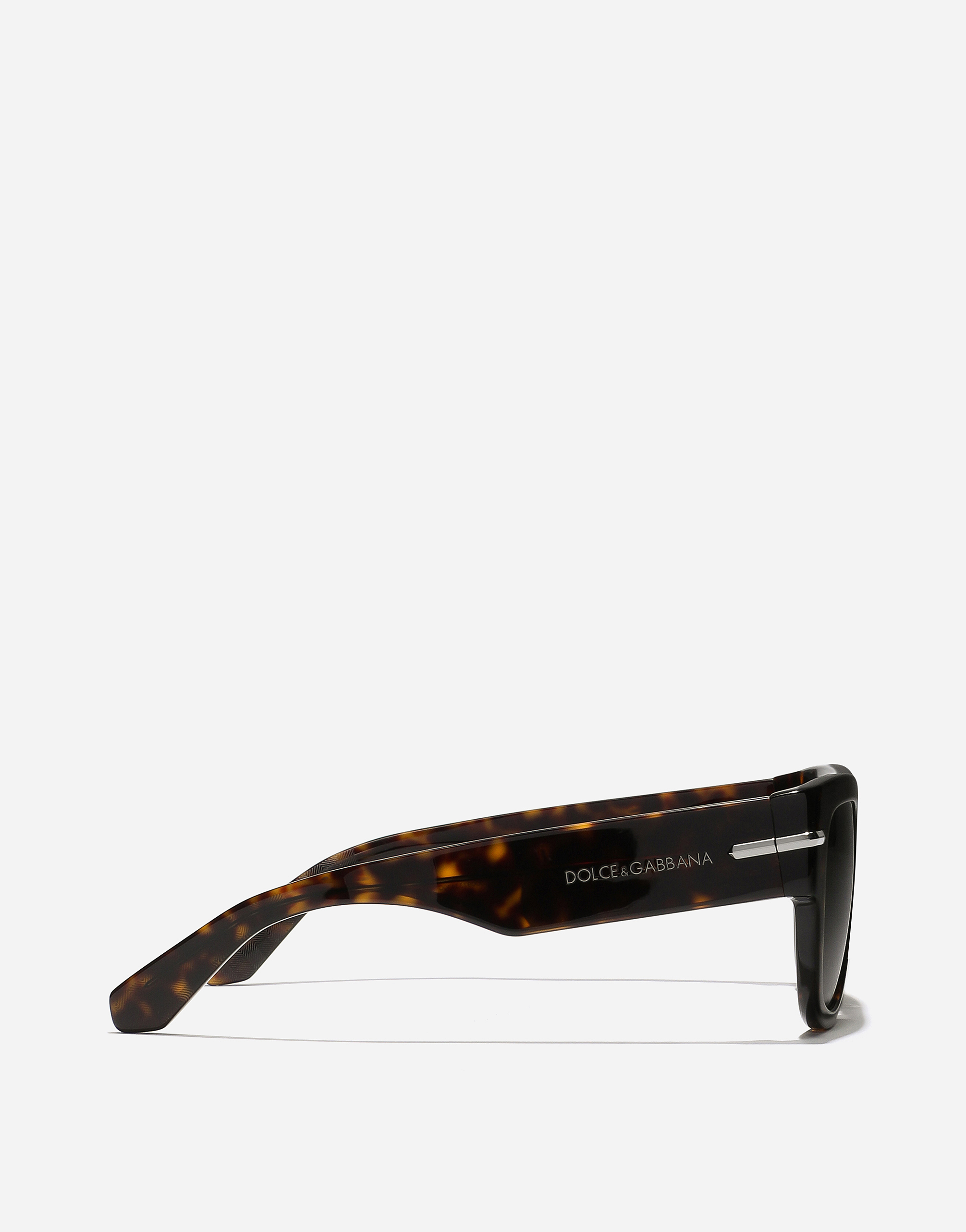 Dolce & Gabbana Dg Signature Sunglasses In Havana
