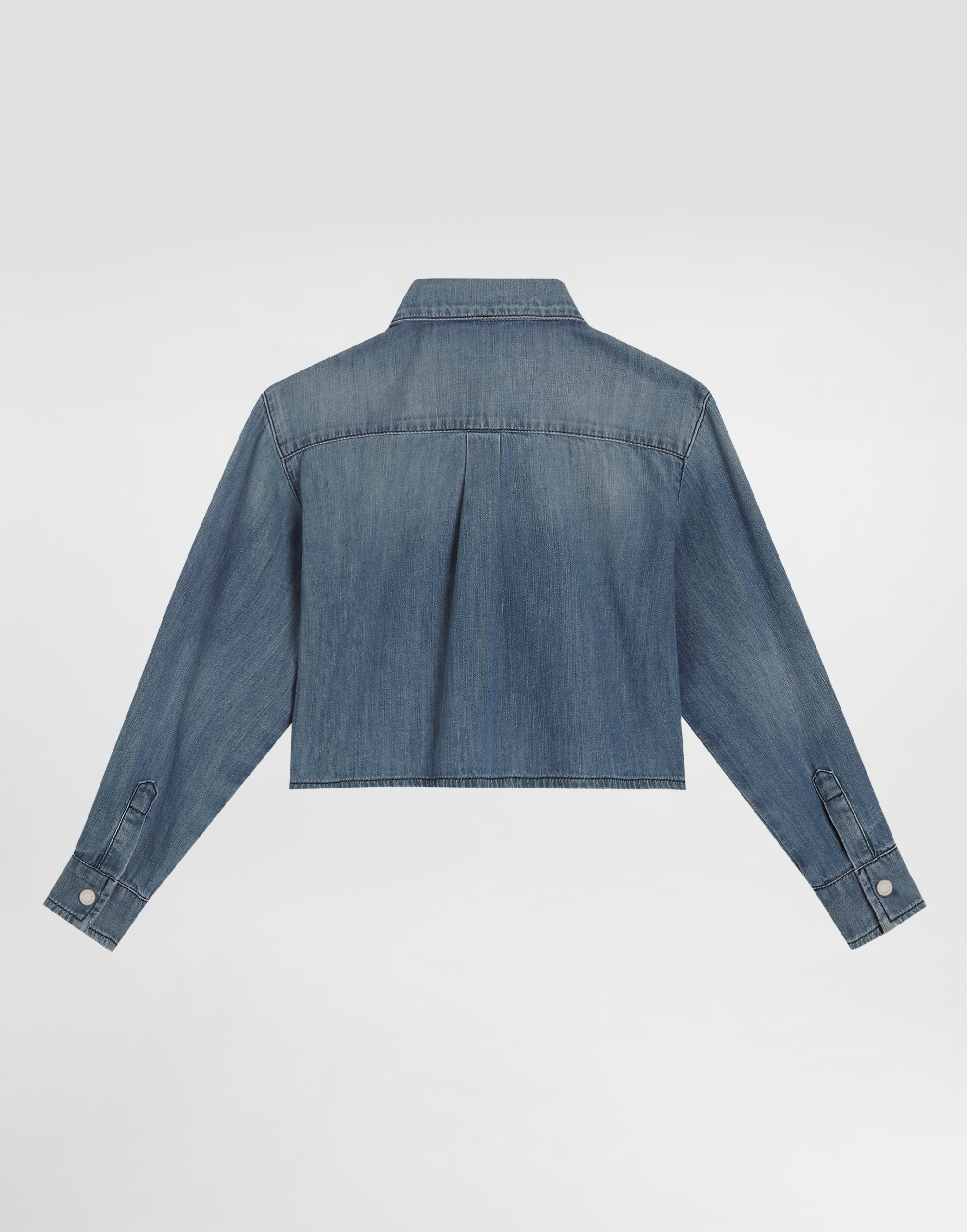 Dolce & Gabbana Denim Shirt With Dg Logo In Multicolor