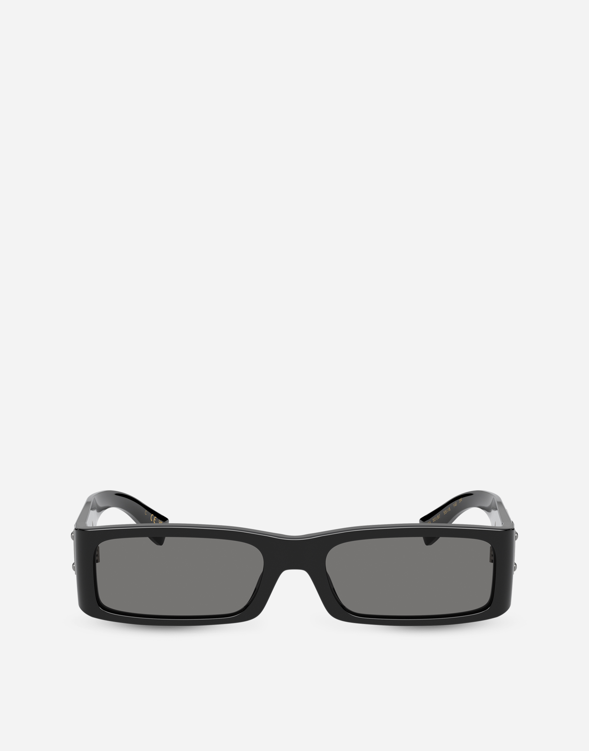 Dolce & Gabbana Re-edition Sunglasses In Black