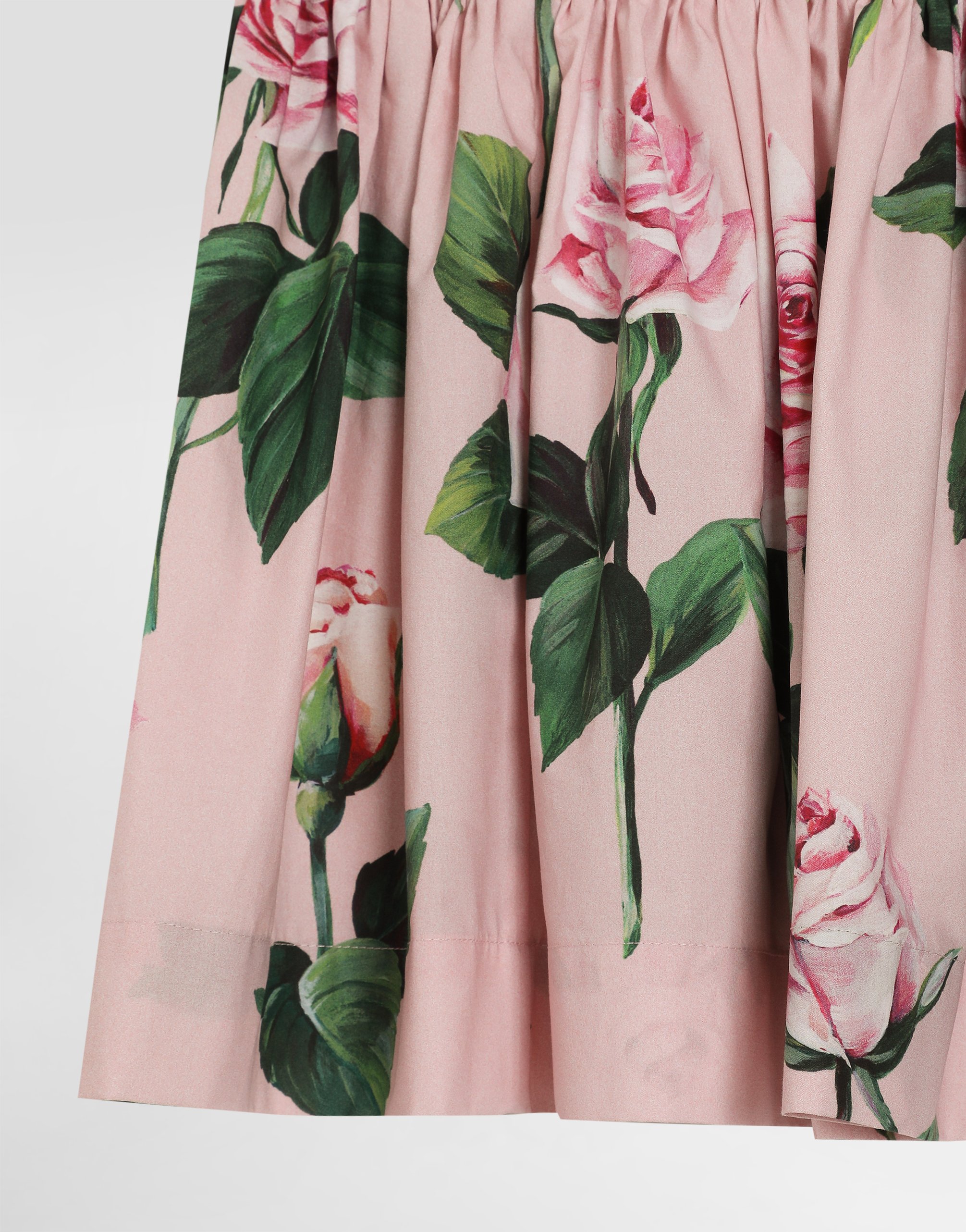 Dolce & Gabbana Rose-print Poplin Dress In Print