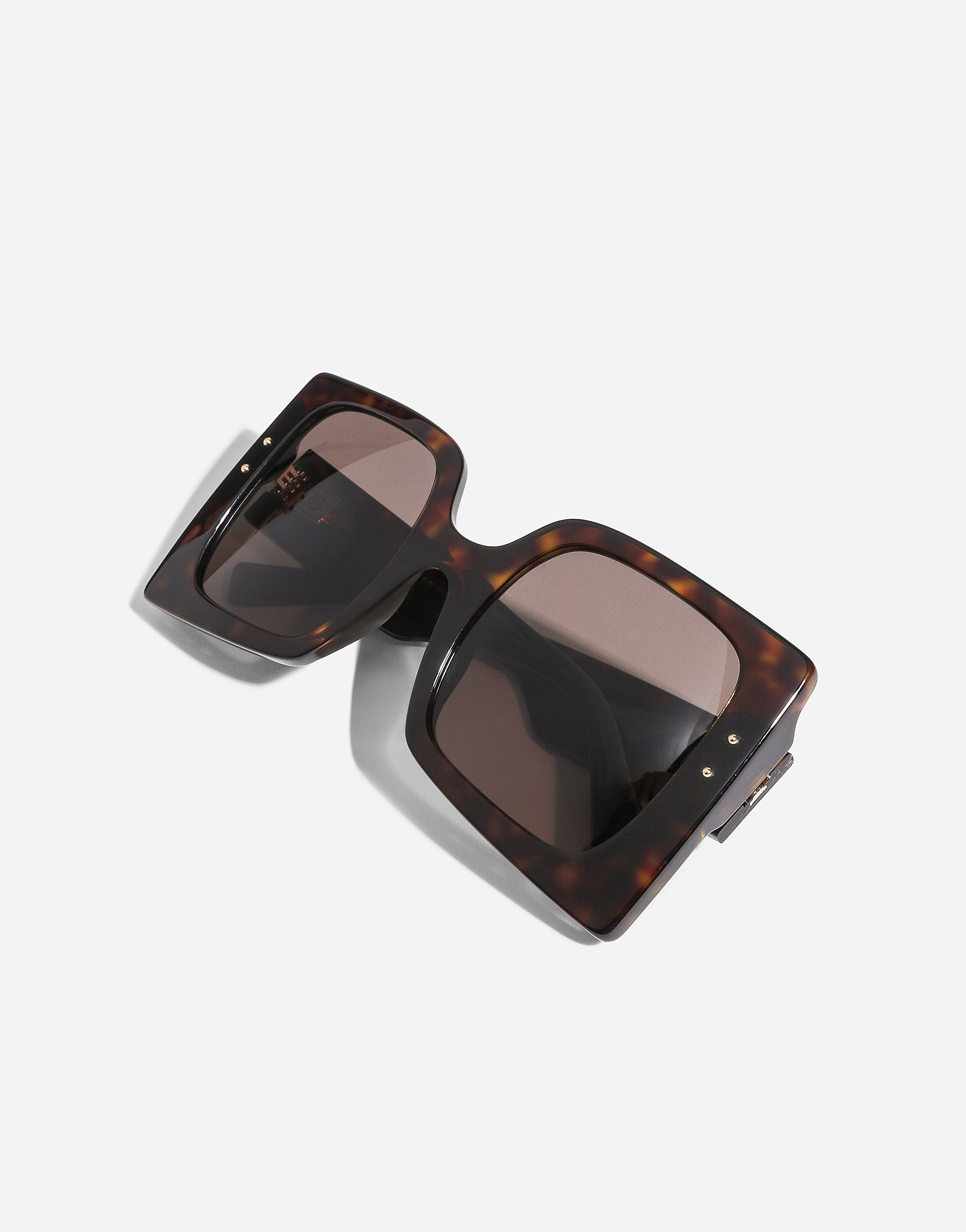 Dolce & Gabbana Dna Sunglasses In Havana