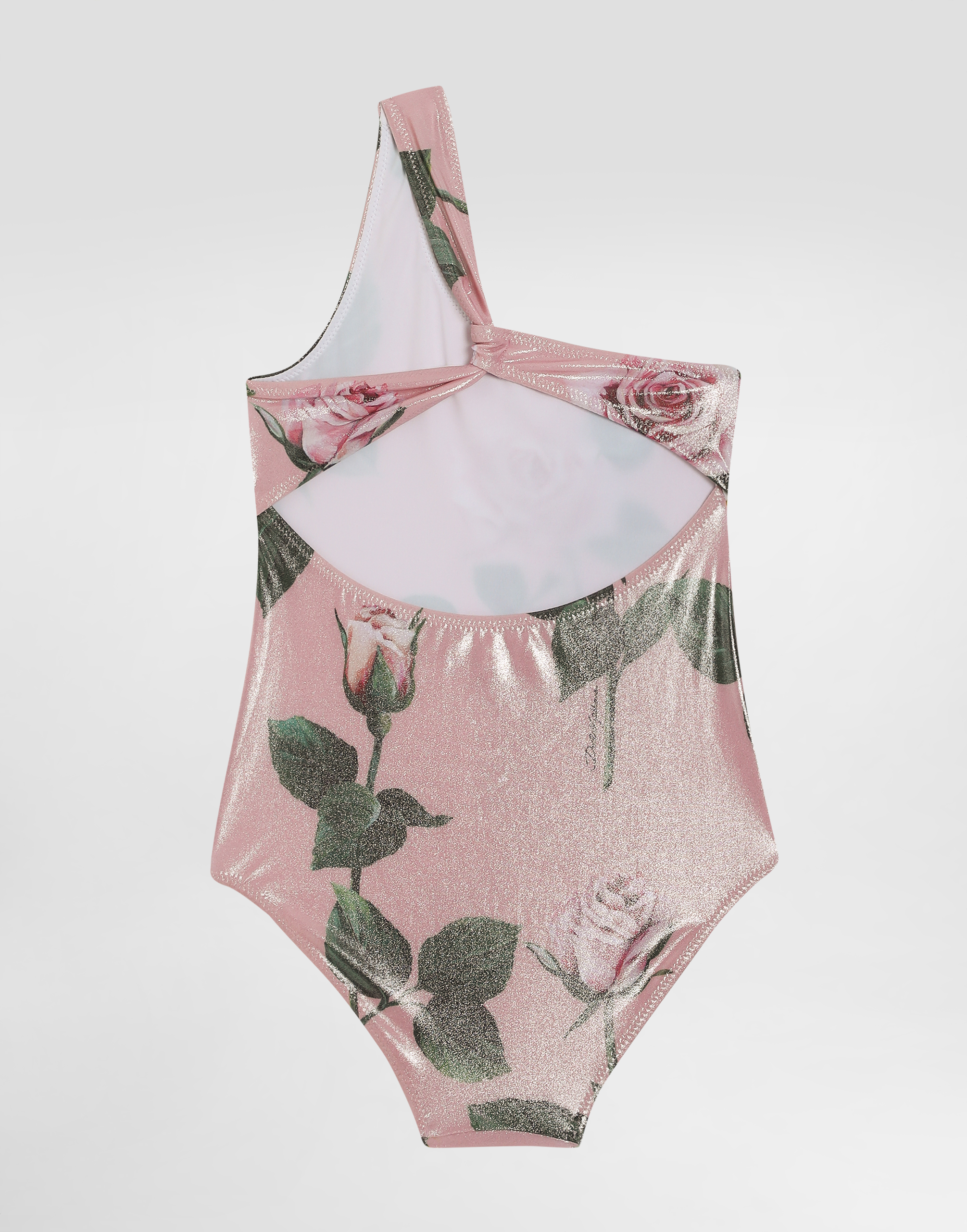 Dolce & Gabbana Rose-print Swimsuit In Print