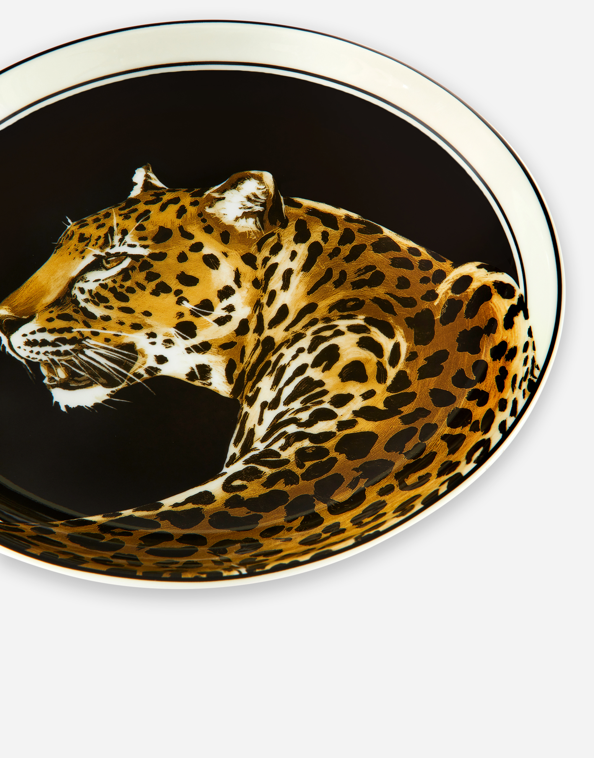 Dolce & Gabbana Set 2 Porcelain Soup Plates In Multicolor