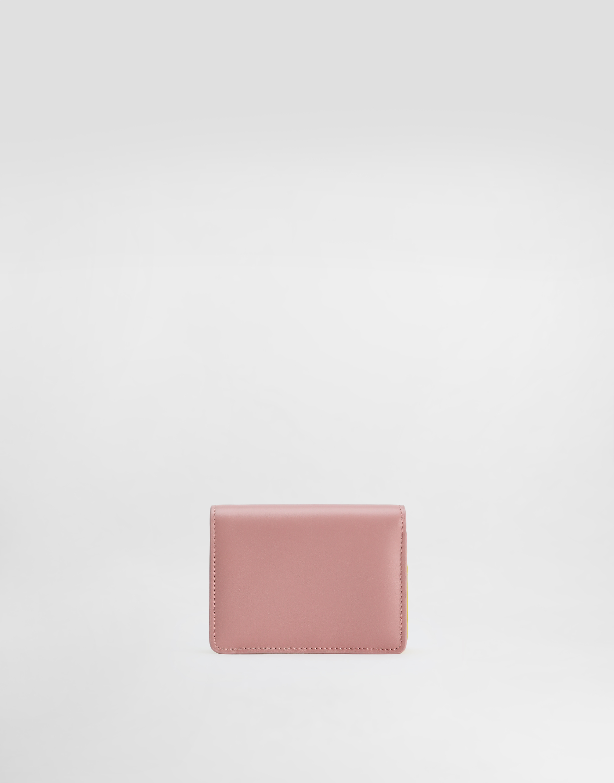 Dolce & Gabbana Calfskin Wallet With Dg Logo In Multicolor