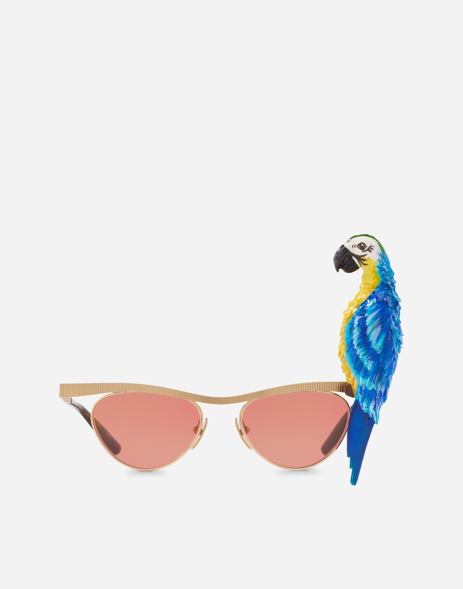 Tropical parrot sunglasses in Gold for Women | Dolce&Gabbana® US