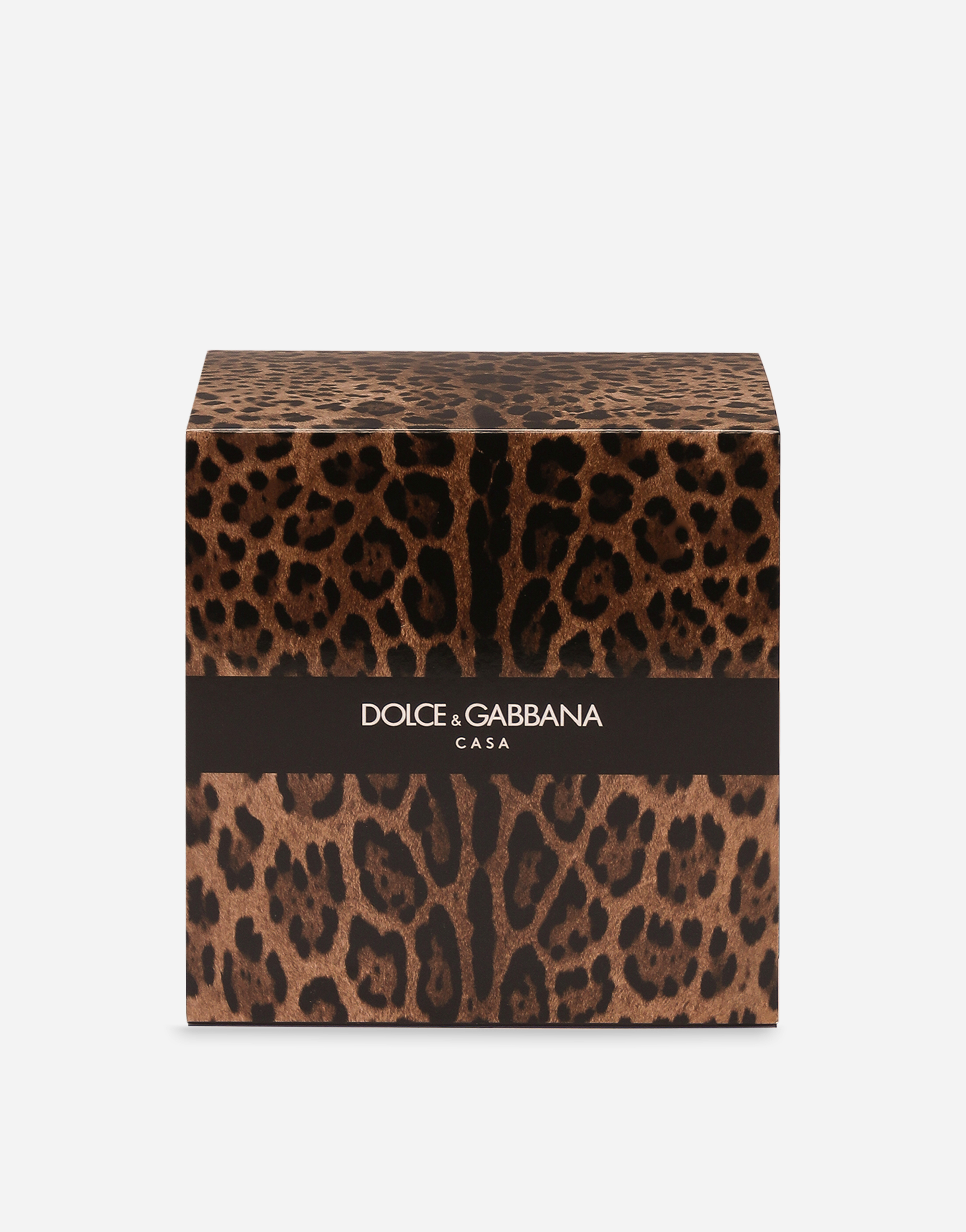 Dolce & Gabbana Klassische Duftkerze In Multicolor