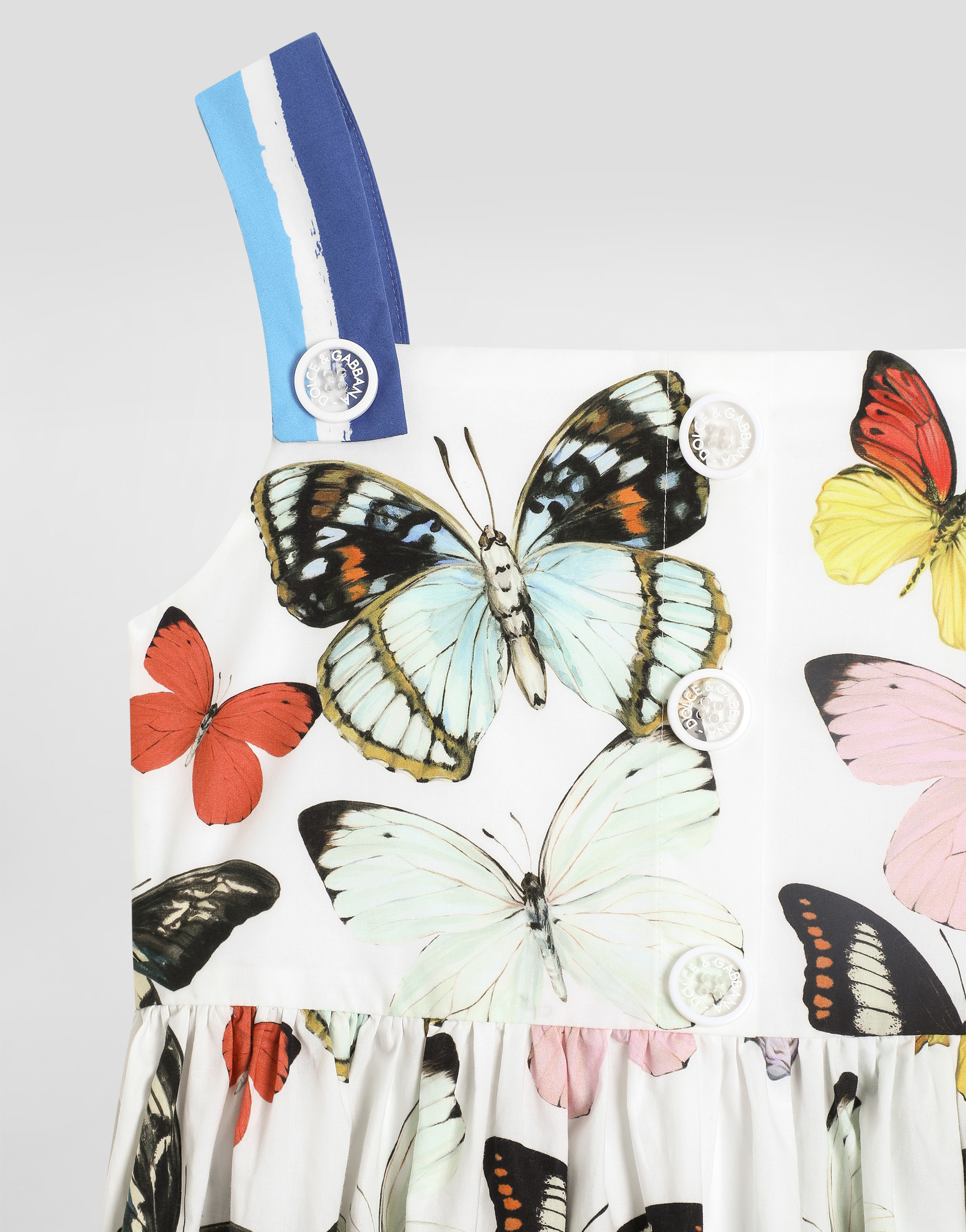 Dolce & Gabbana Poplin Dress With Butterfly Print In Print