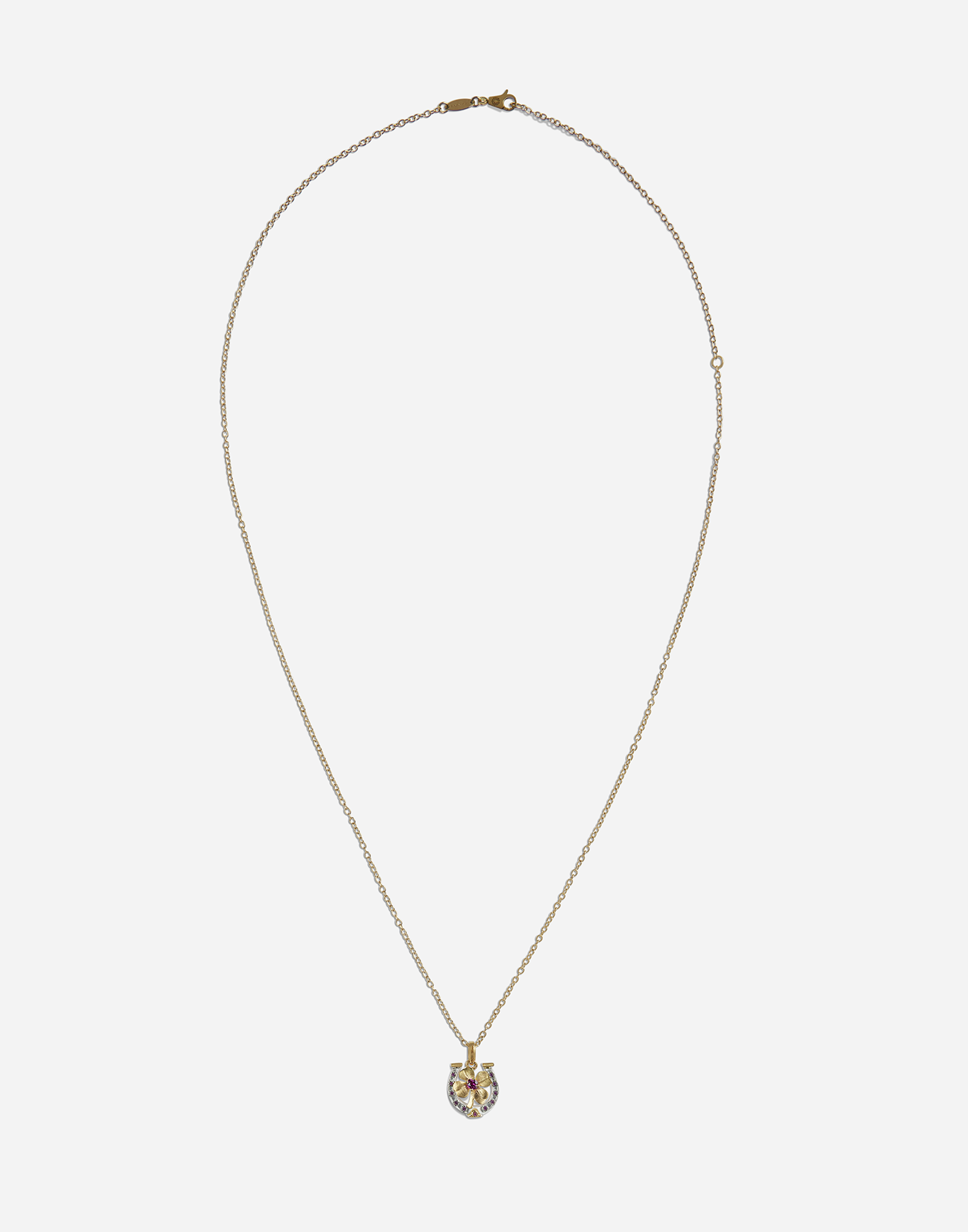 Shop Dolce & Gabbana Necklace With Good Luck Charm In Gold