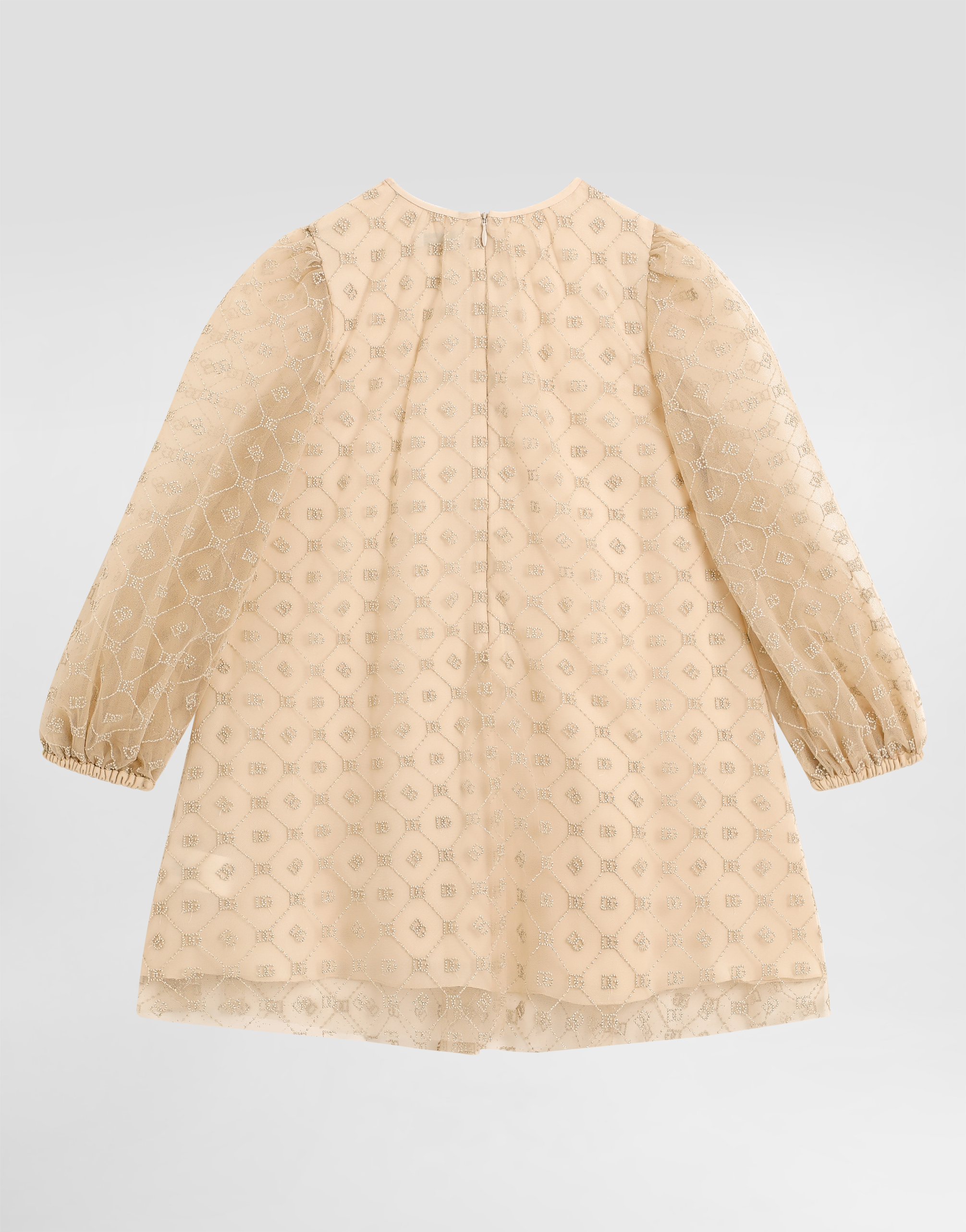 Long-sleeved dress embroidered tulle DG
