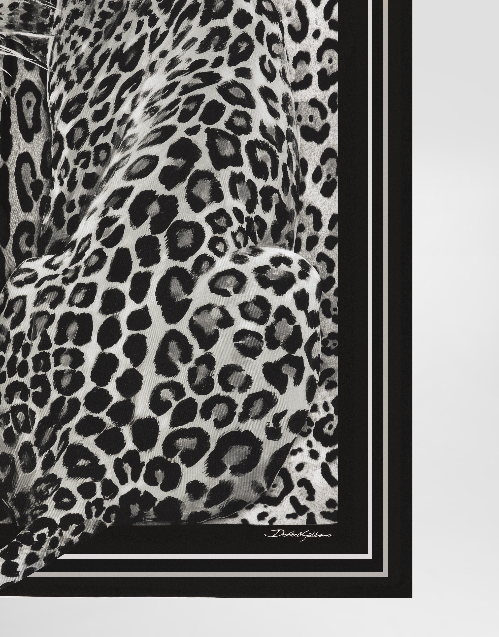 Dolce & Gabbana Leopard-print Silk Twill Foulard (70x70) In Print