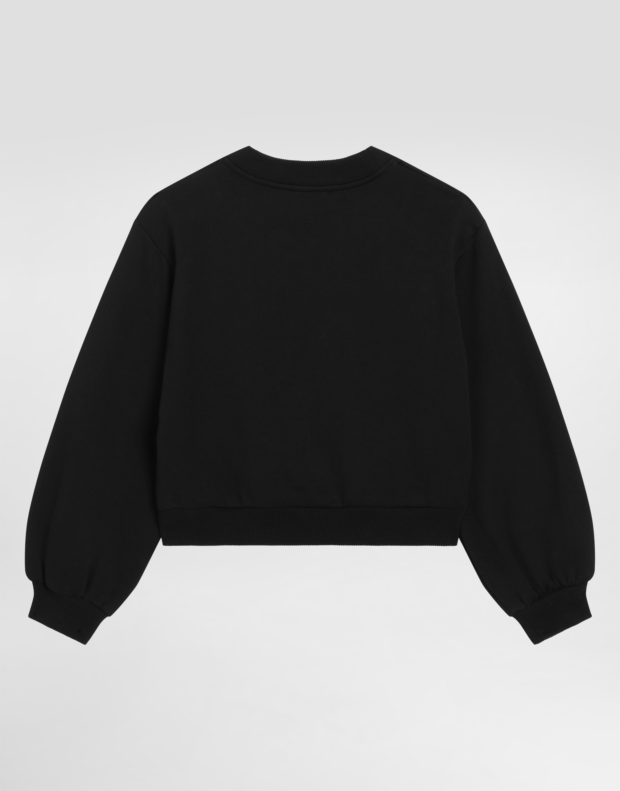 Dolce & Gabbana Sweatshirt With Dg Rhinestone Patch In Multi