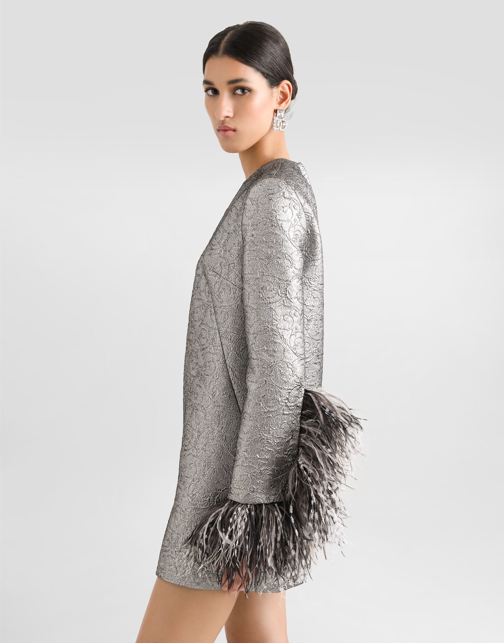 Dolce & Gabbana Feather-trim Mini Dress In Silver