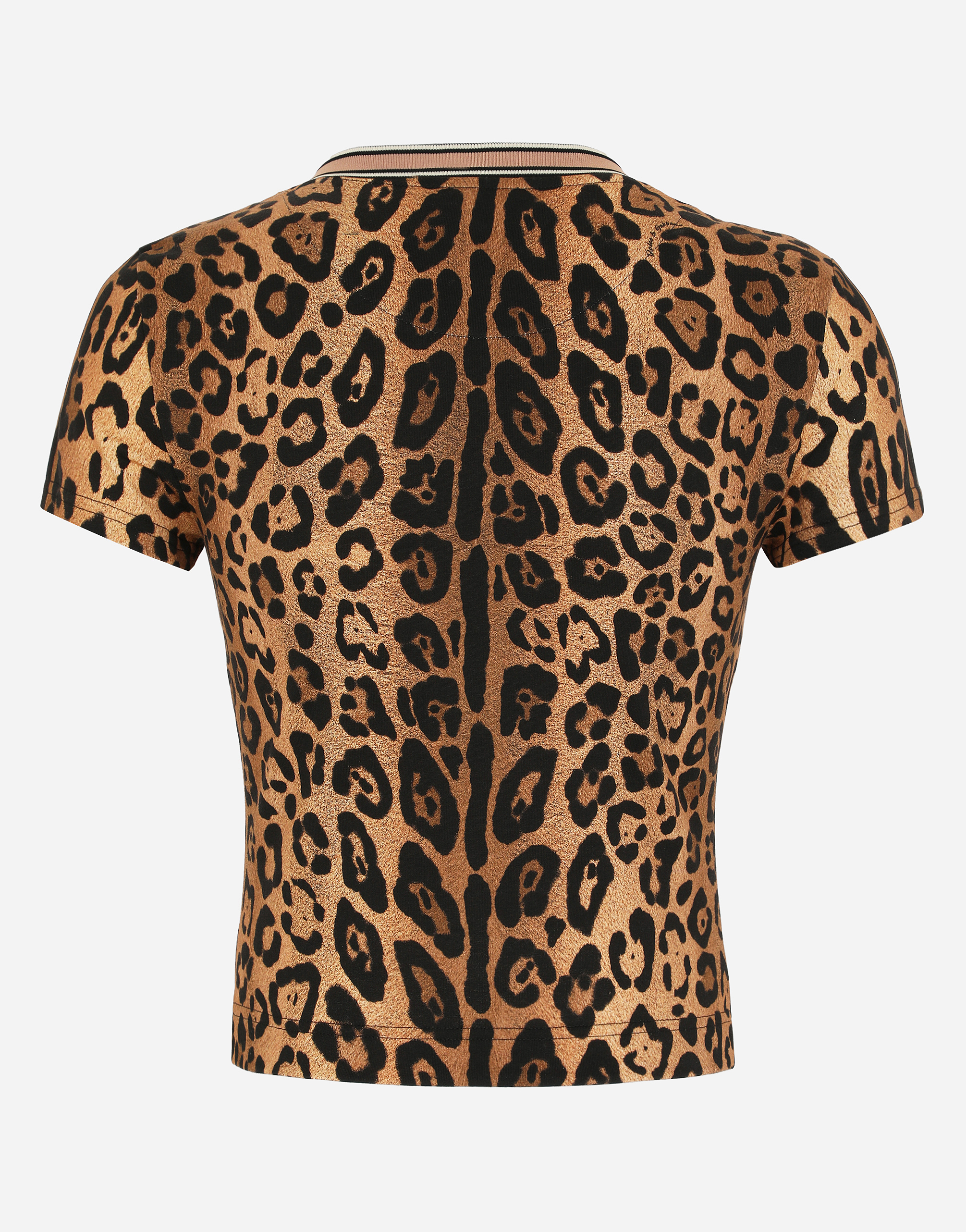 Dolce & Gabbana Cotton Leopard Print T-shirt In Print