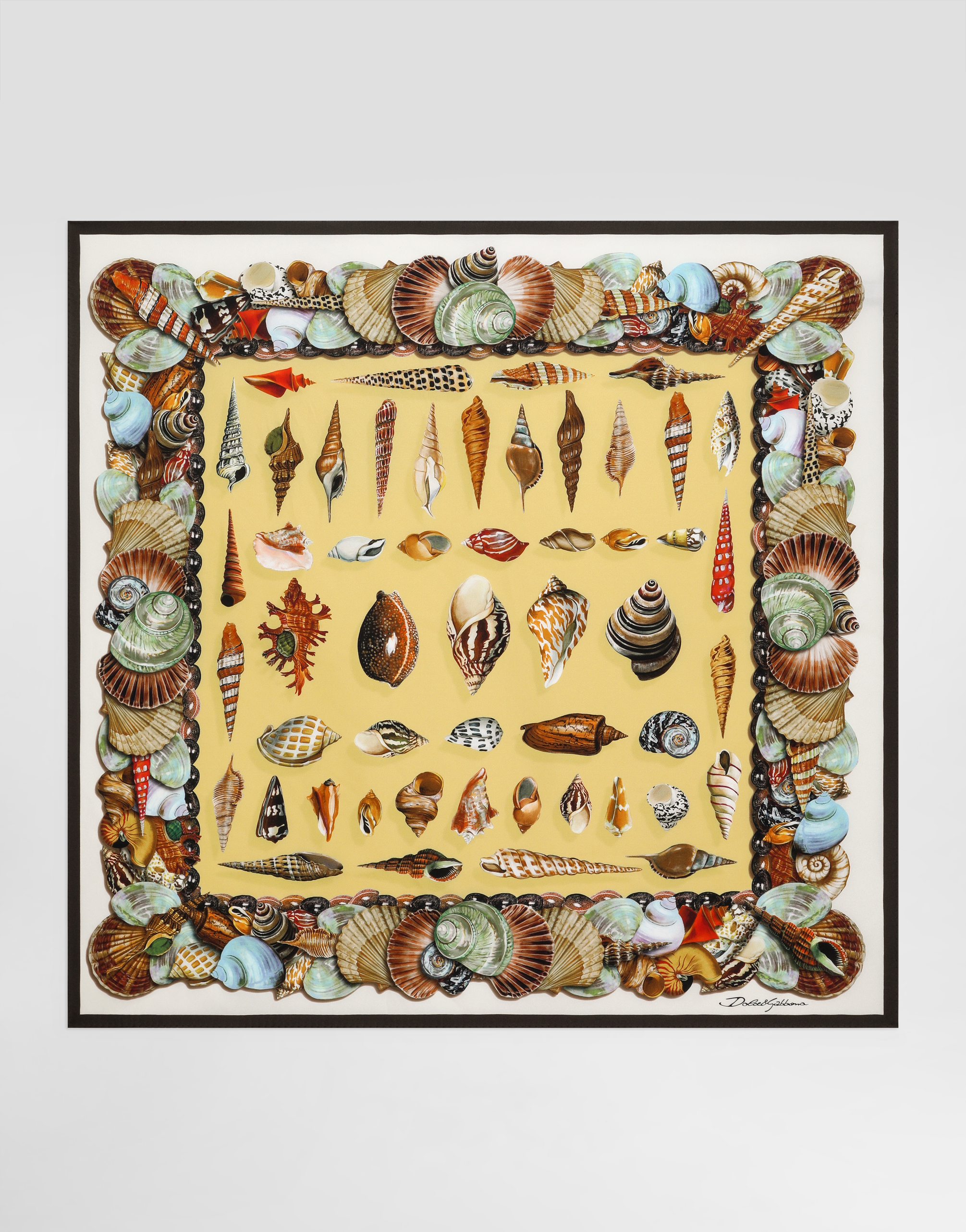 Dolce & Gabbana Shell-print Silk Scarf