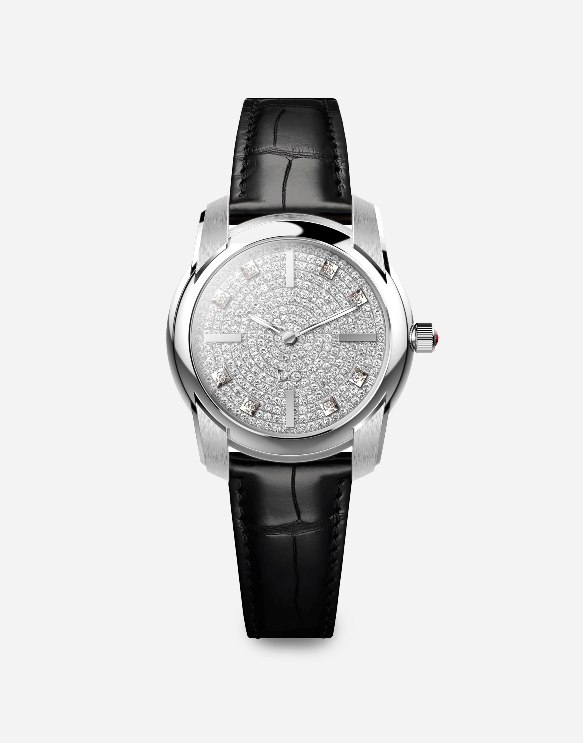 Dg7 Pave White Gold Watch Black