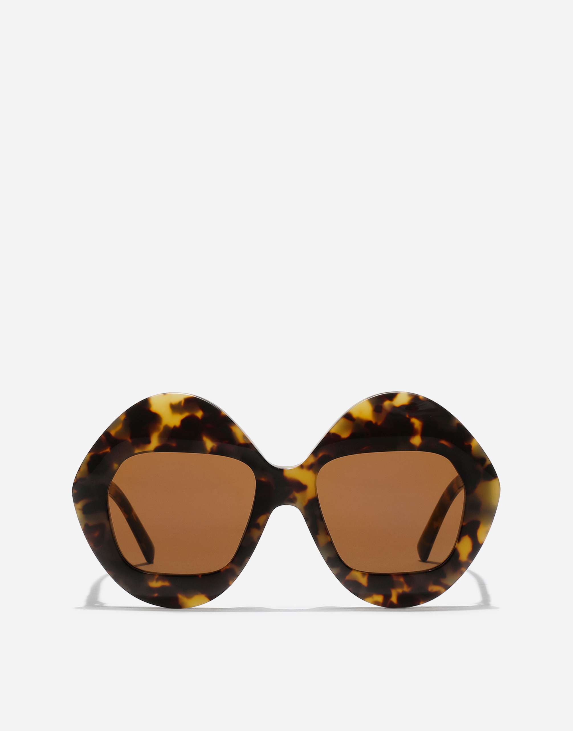 Dolce & Gabbana Occhiali Da Sole Italian Tailoring In Brown