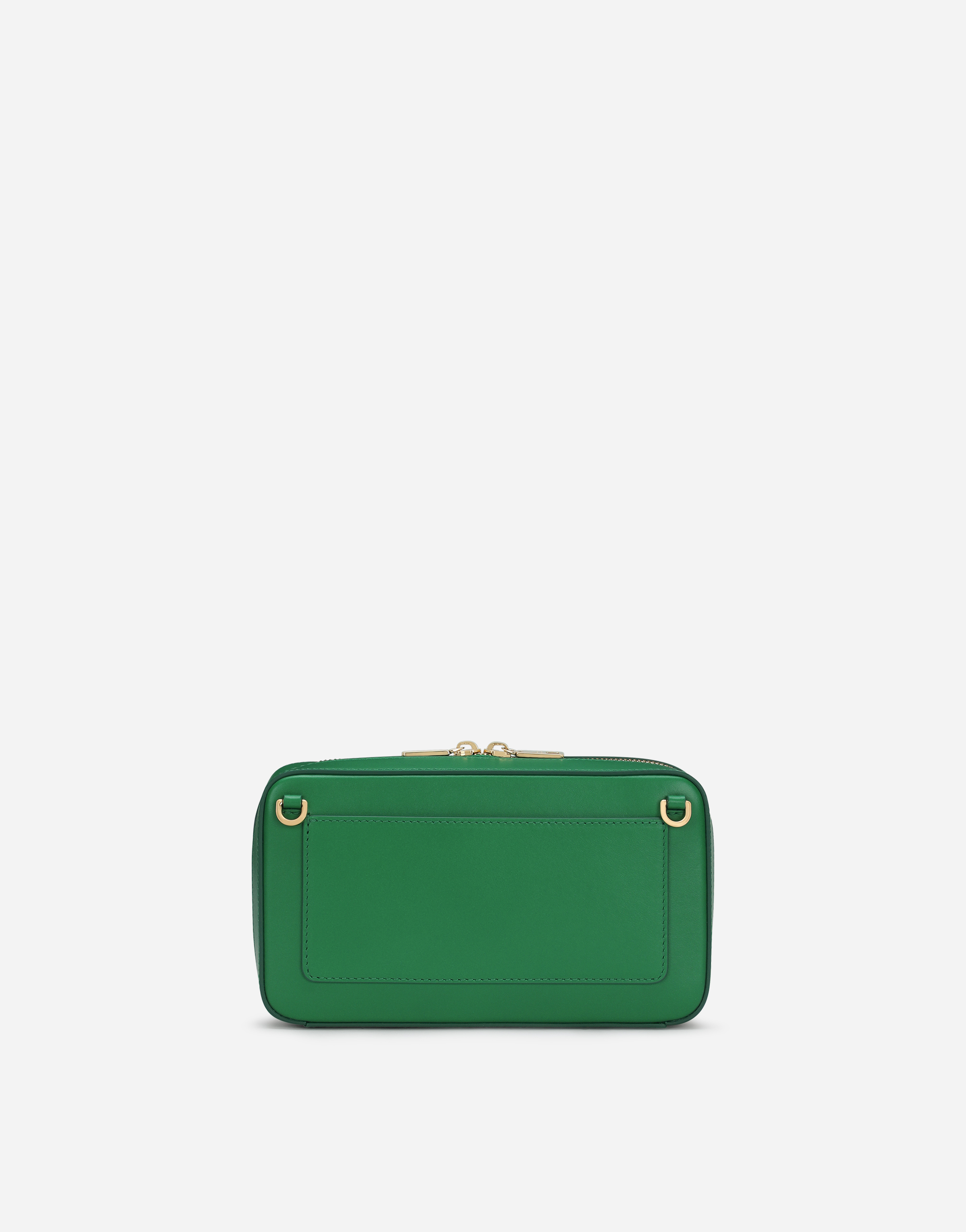 Dolce & Gabbana Small Calfskin Dg Logo Camera Bag In Green
