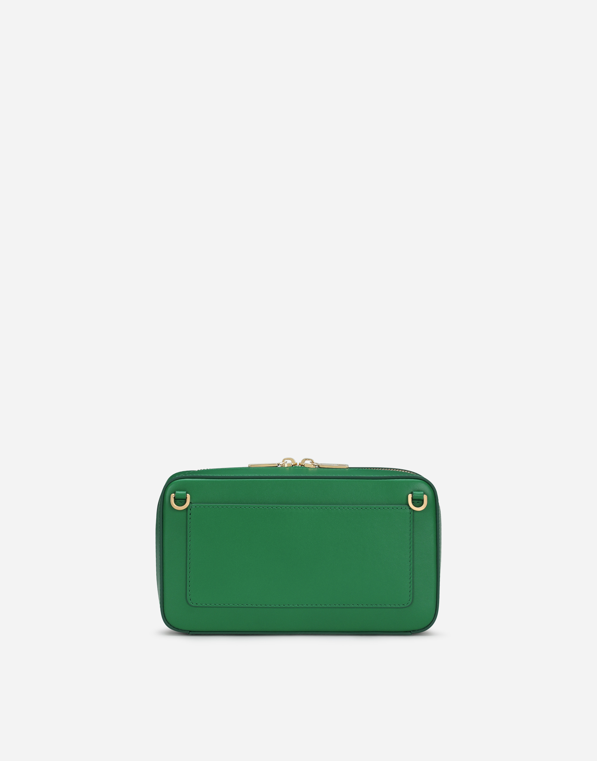 Shop Dolce & Gabbana Small Calfskin Dg Logo Camera Bag In Green