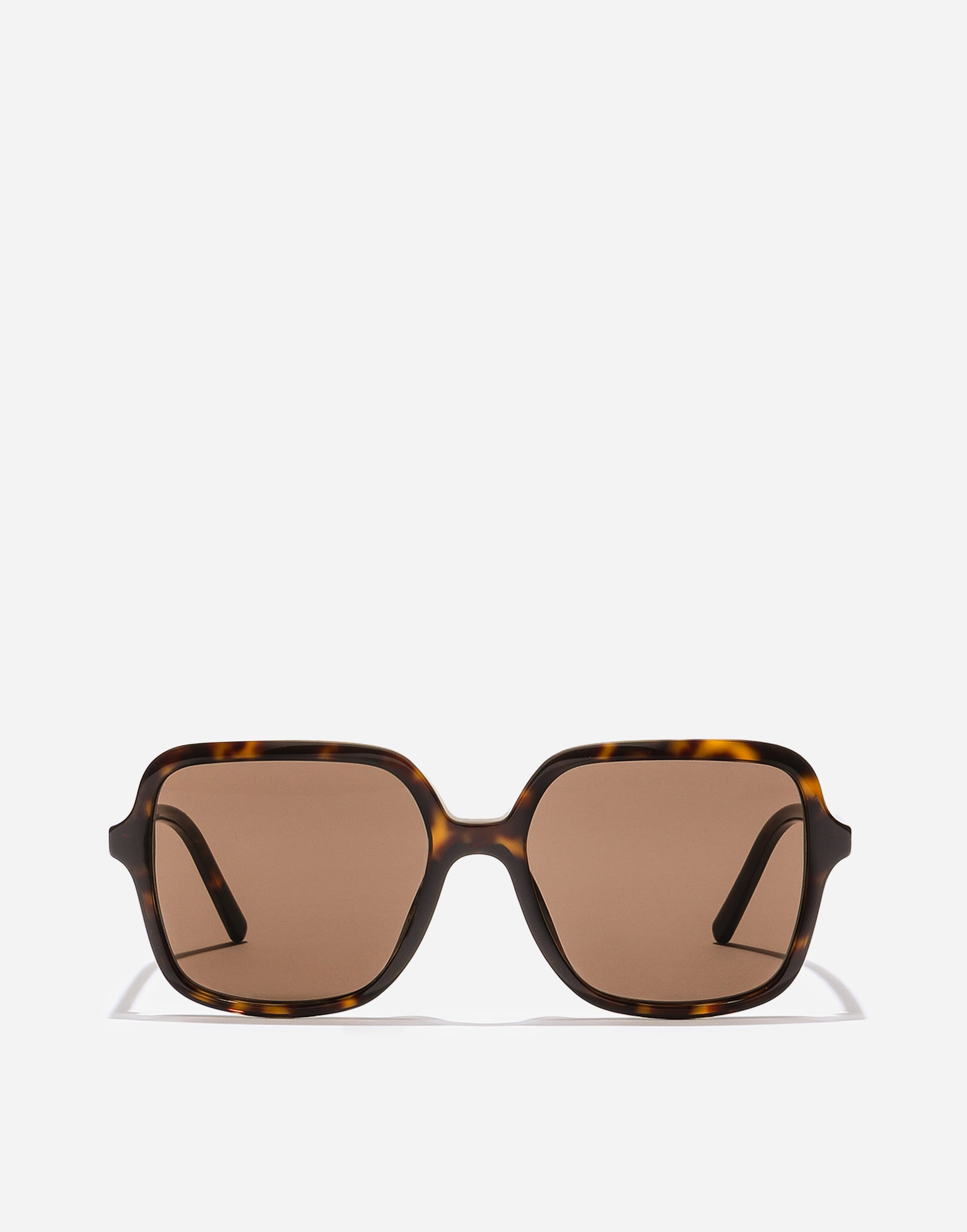 Good and sin レンジャーコヨーテ　BRUNT DG Everyday Sunglasses in Havana for Women | Dolce&Gabbana® US