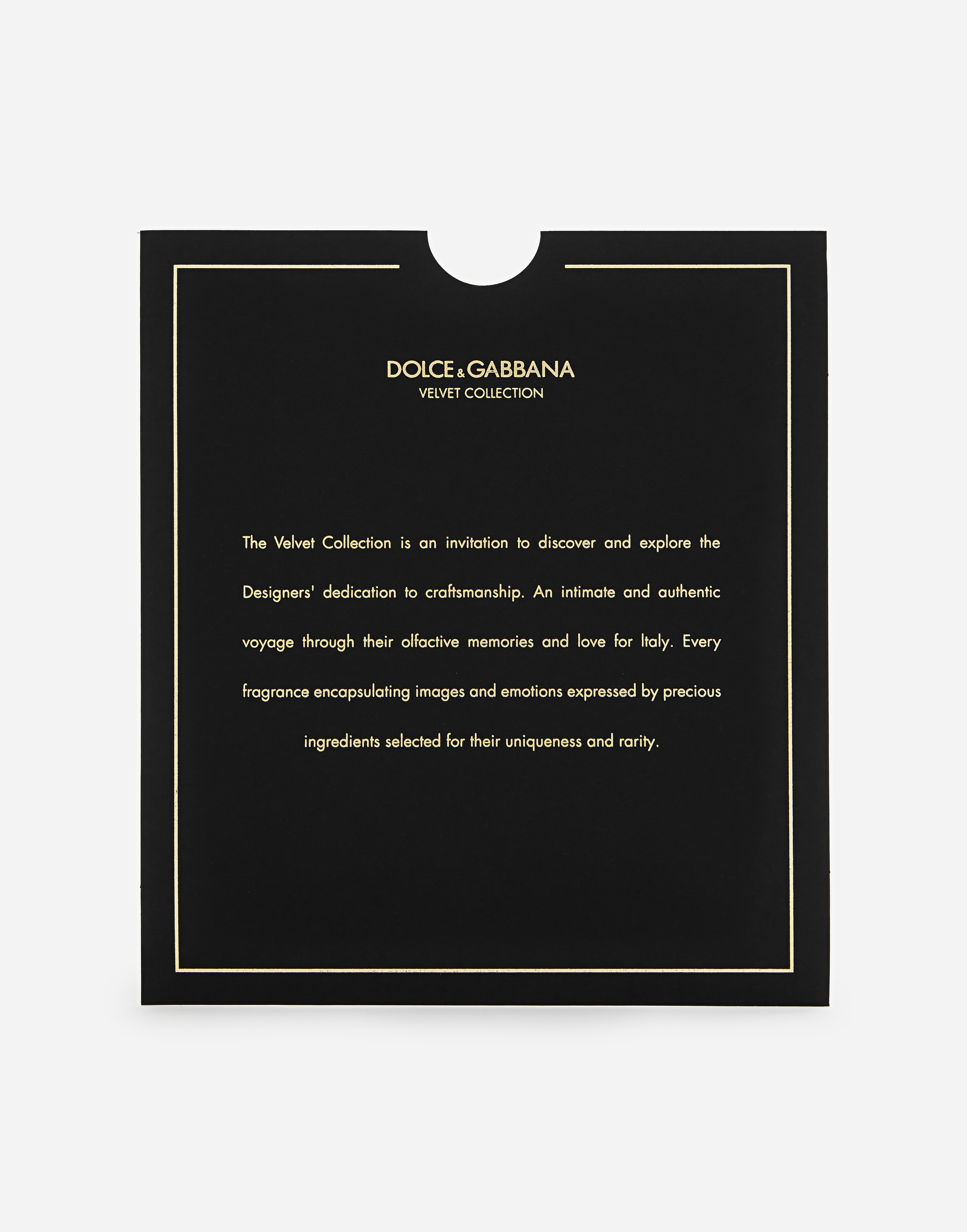 Dolce & Gabbana Velvet Collection In -