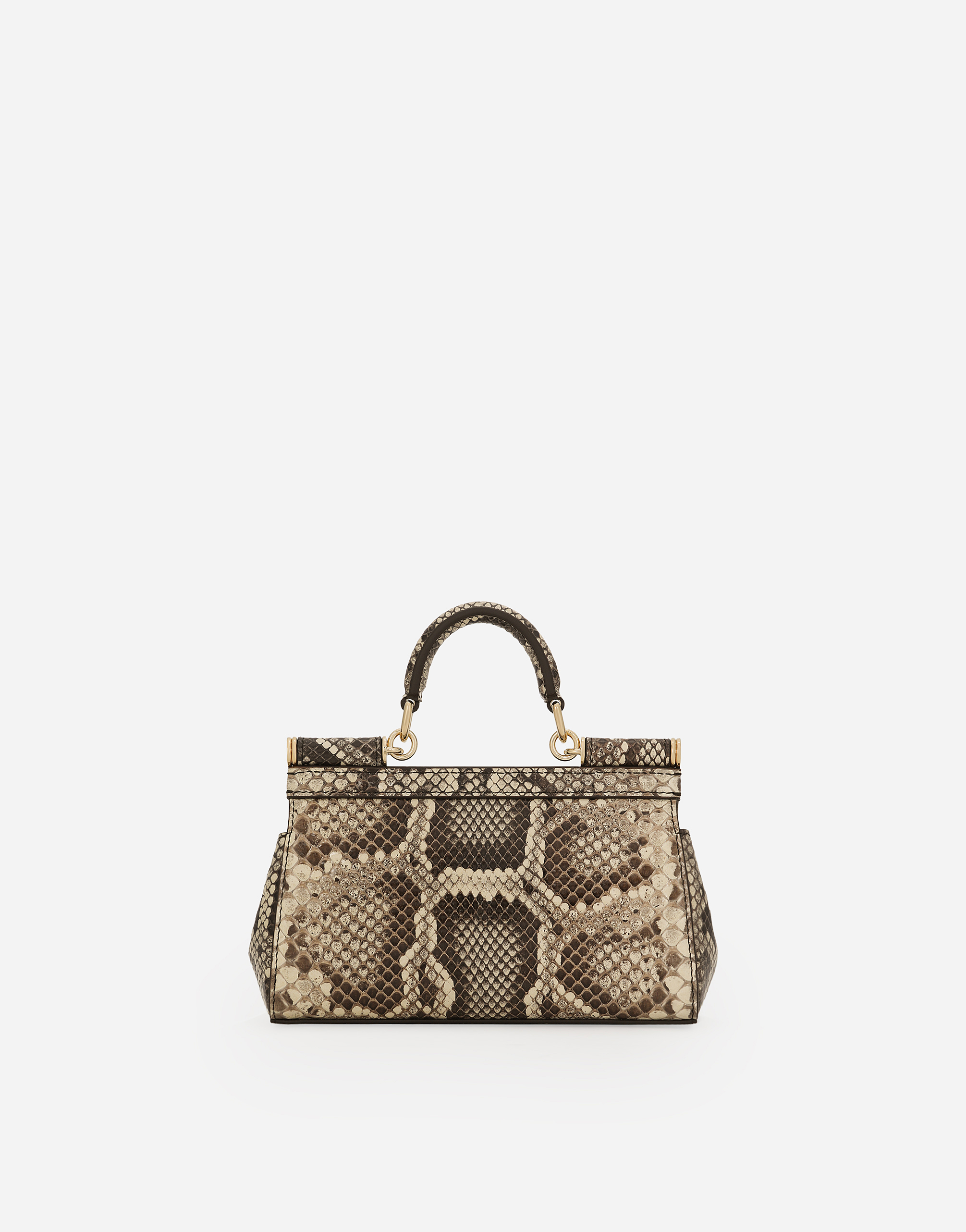 Dolce & Gabbana Leather Handbag With Animalier Print In Brown